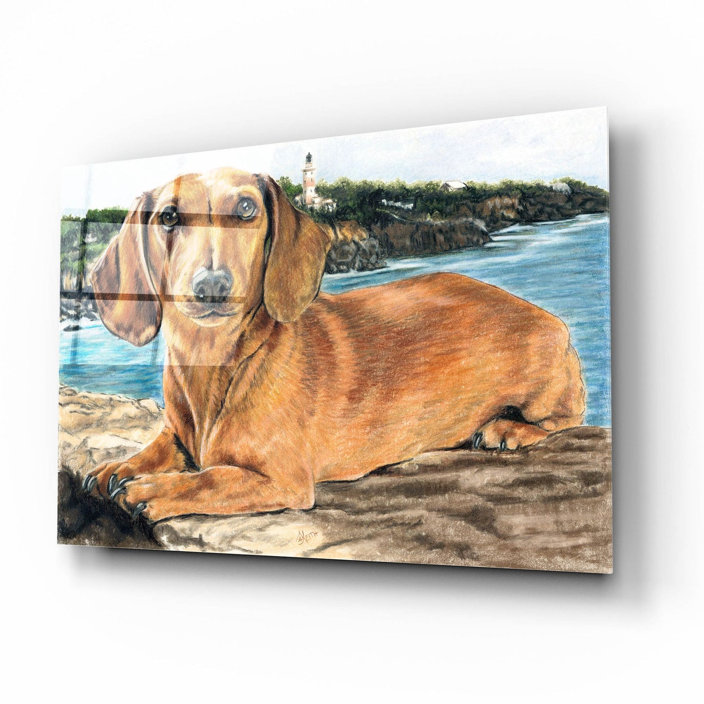 Epic Art 'Dachshund In The Bay' by Barbara Keith, Acrylic Glass Wall Art,16x12