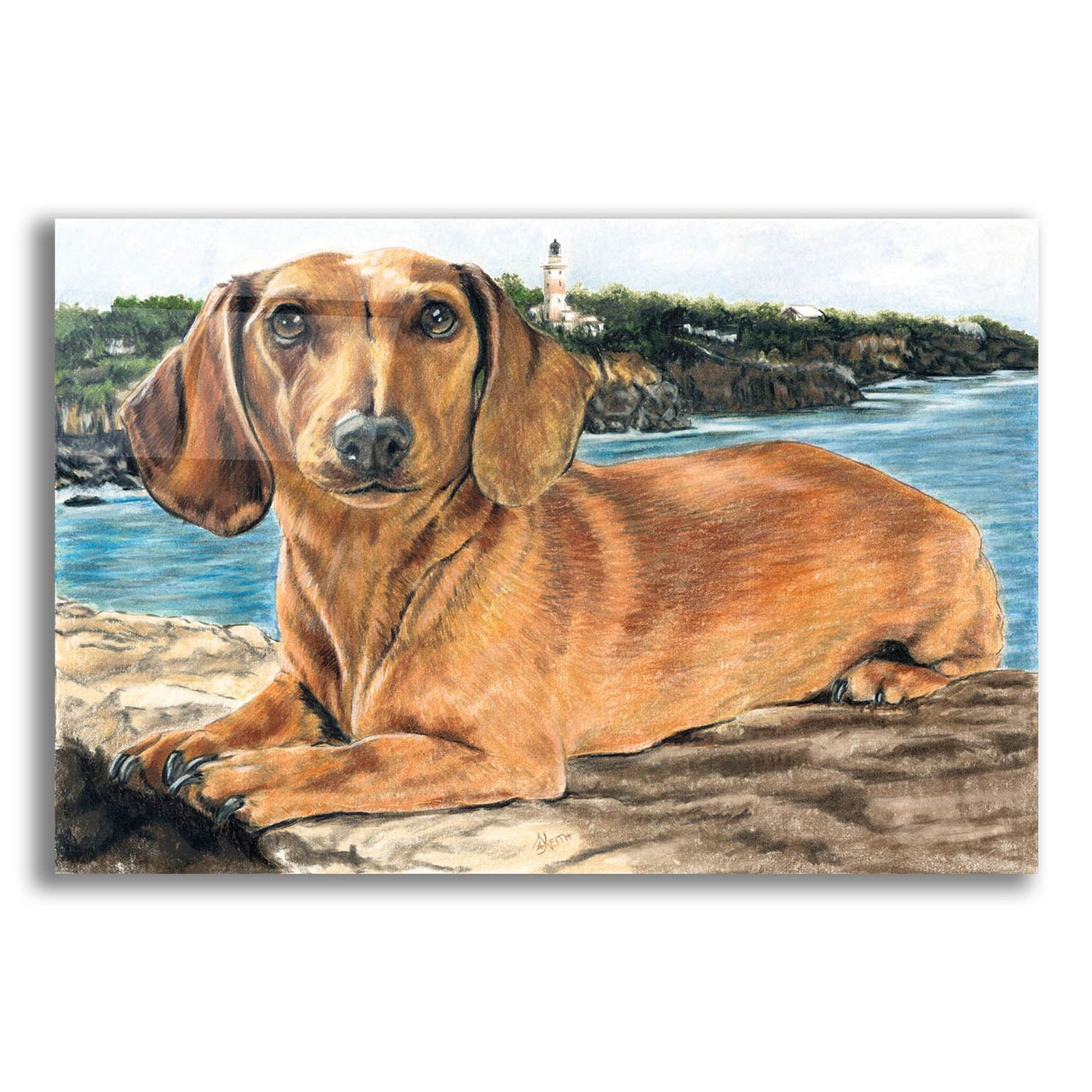 Epic Art 'Dachshund In The Bay' by Barbara Keith, Acrylic Glass Wall Art,16x12