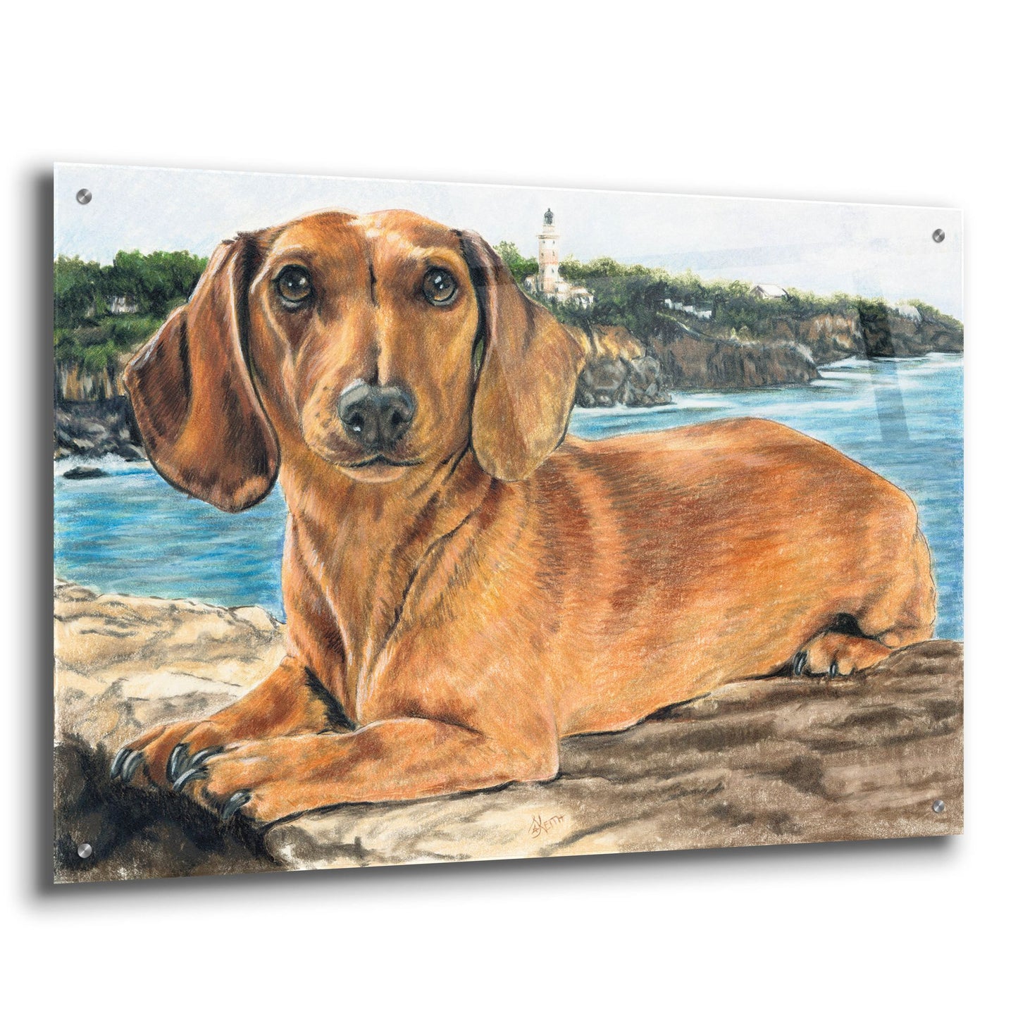 Epic Art 'Dachshund In The Bay' by Barbara Keith, Acrylic Glass Wall Art,36x24