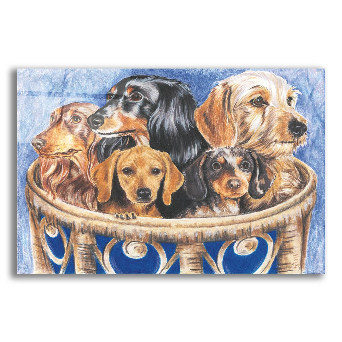 Dachsund In A Basket by Barbara Keith acrylic glass wall art