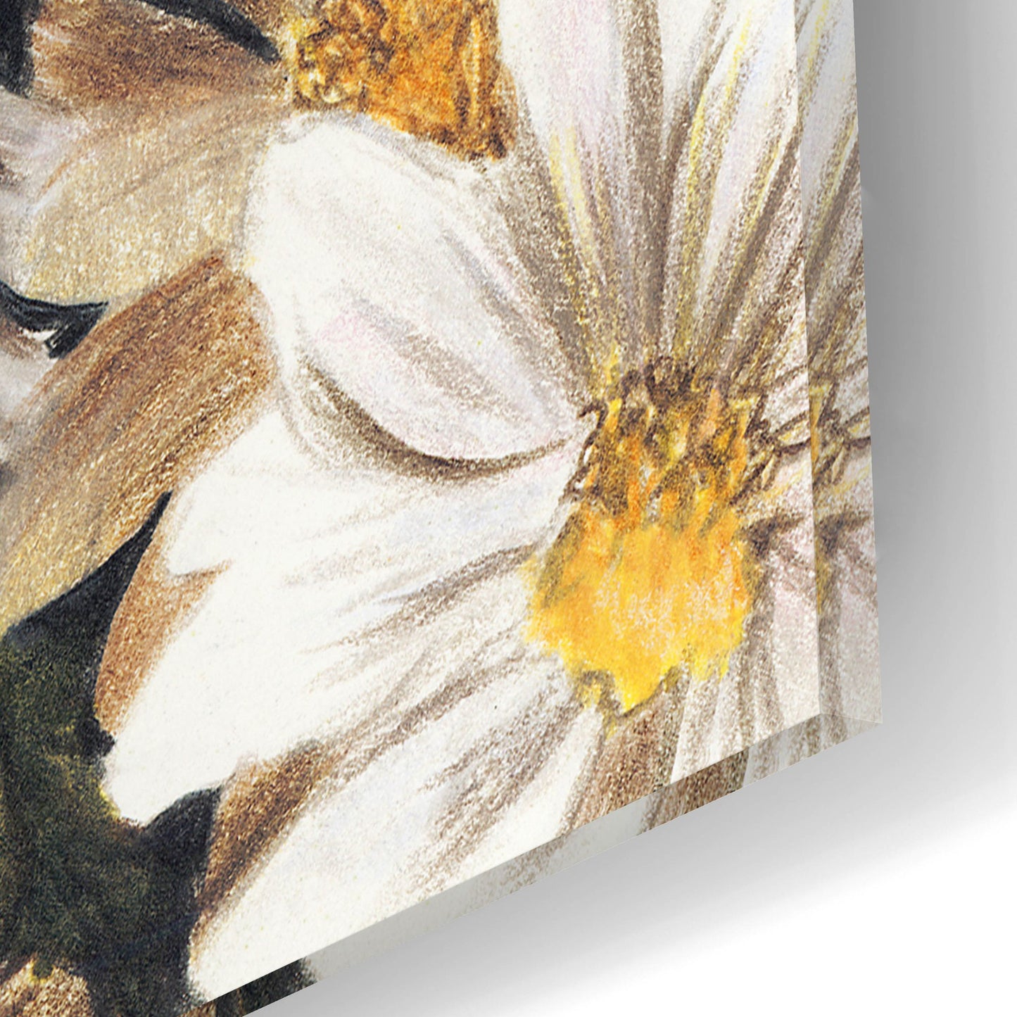 Epic Art 'Dachsund In Daisies' by Barbara Keith, Acrylic Glass Wall Art,12x16