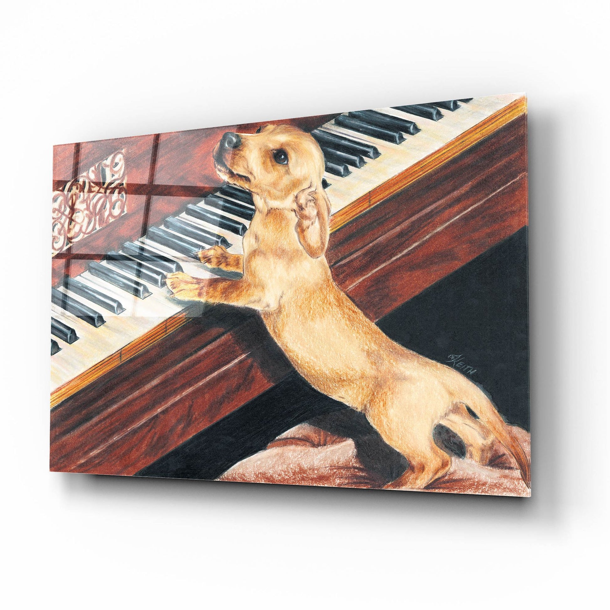 Epic Art 'Dachsund Playing Piano' by Barbara Keith, Acrylic Glass Wall Art,16x12