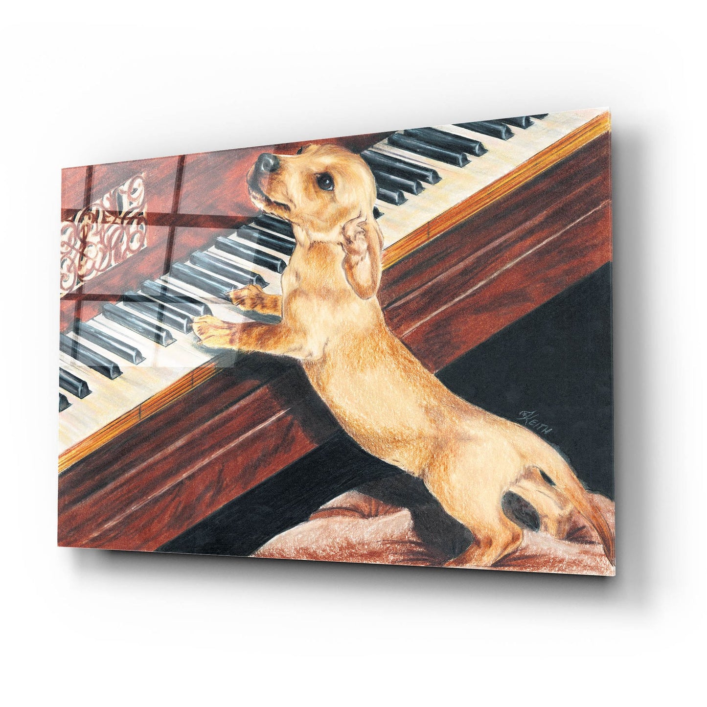 Epic Art 'Dachsund Playing Piano' by Barbara Keith, Acrylic Glass Wall Art,24x16