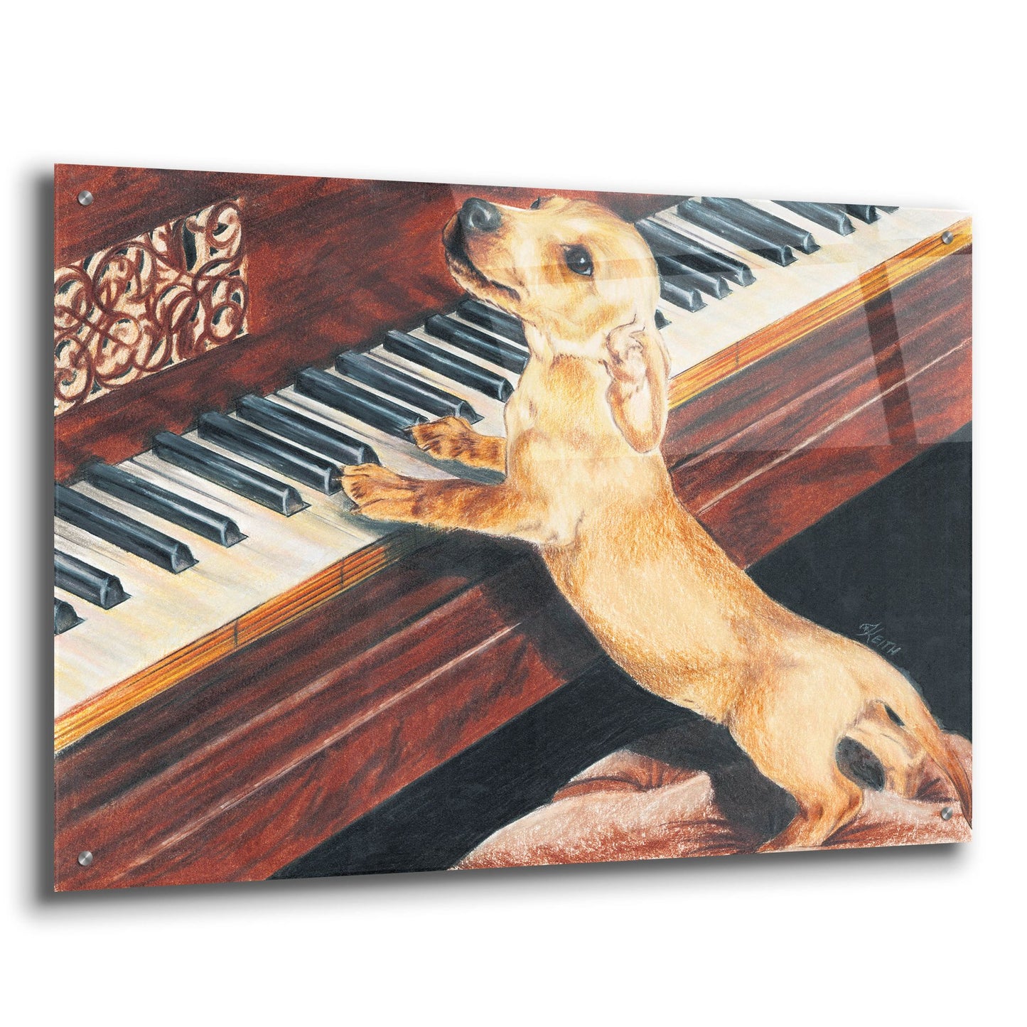 Epic Art 'Dachsund Playing Piano' by Barbara Keith, Acrylic Glass Wall Art,36x24