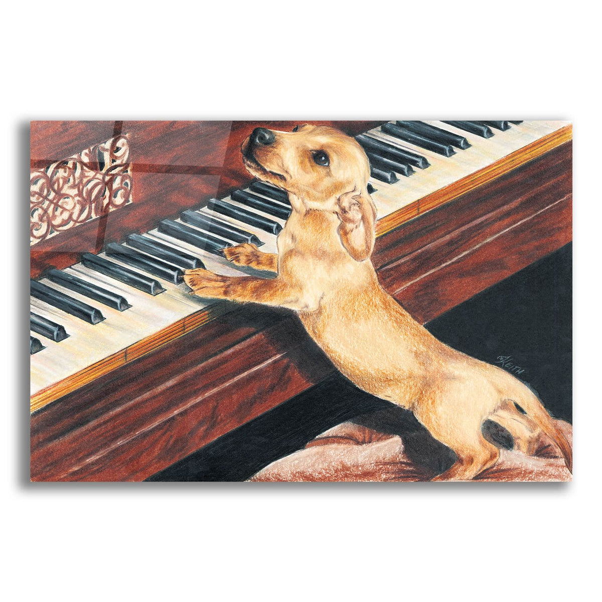 Dachsund Playing Piano by Barbara Keith acrylic glass wall art