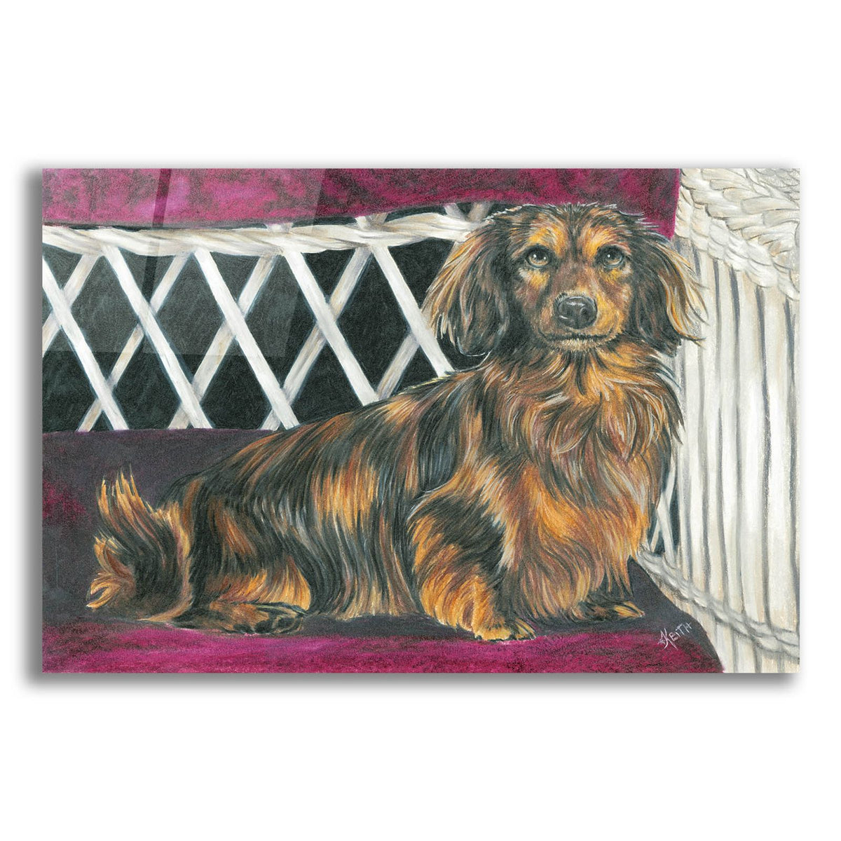 Dachsund In Wicker Chair by Barbara Keith acrylic glass wall art