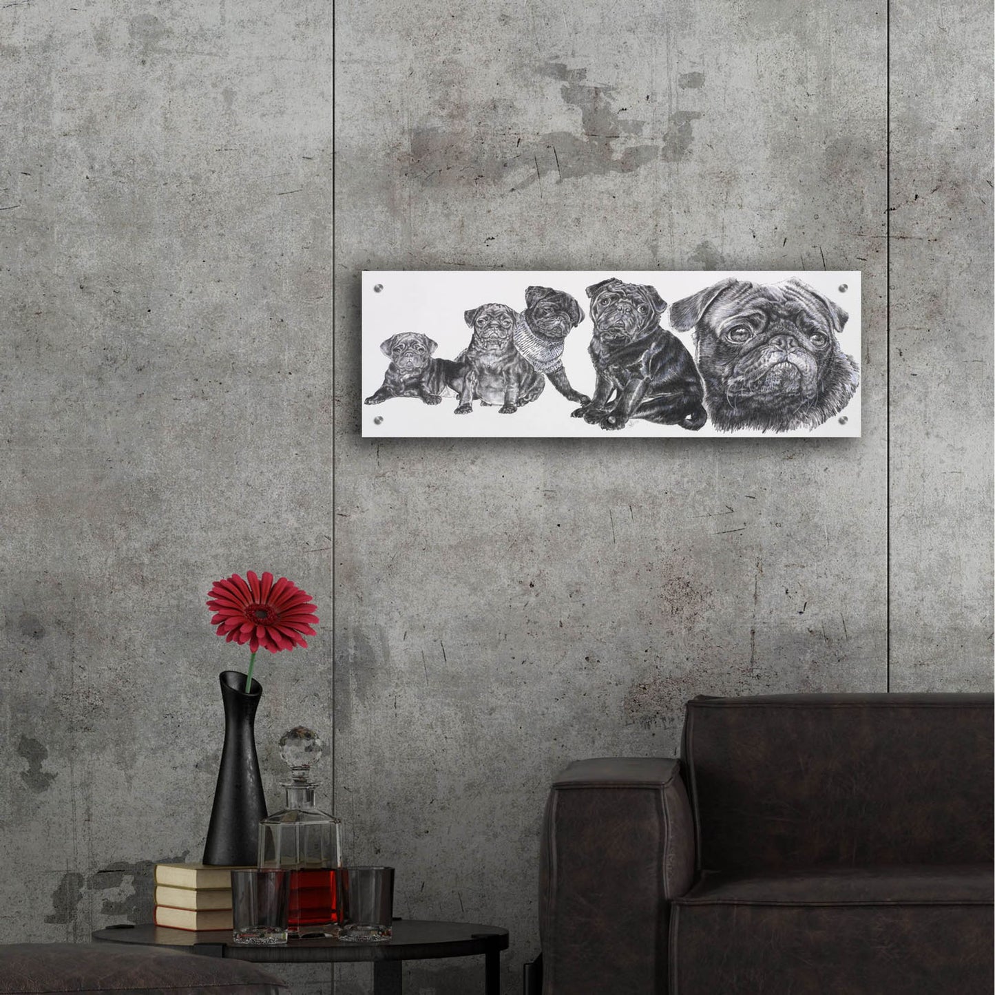 Epic Art 'Growing Up Pug' by Barbara Keith, Acrylic Glass Wall Art,36x12