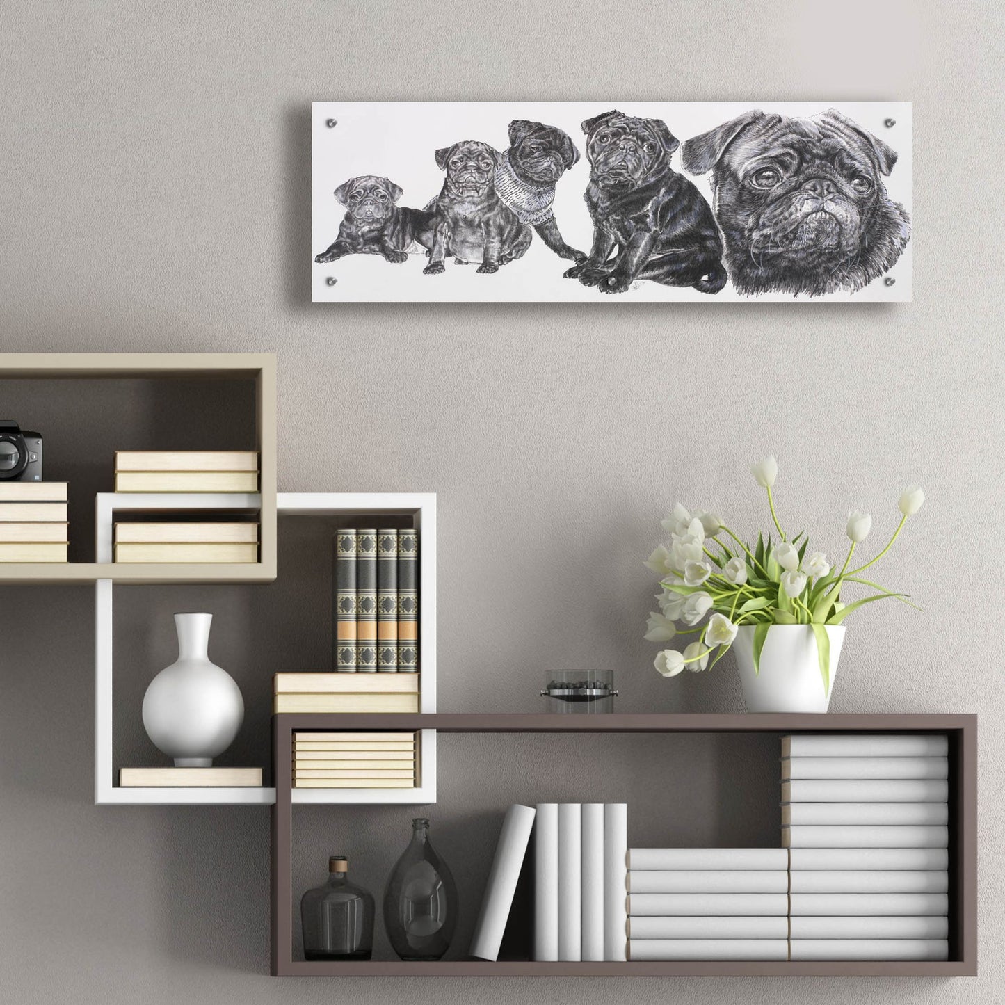 Epic Art 'Growing Up Pug' by Barbara Keith, Acrylic Glass Wall Art,36x12