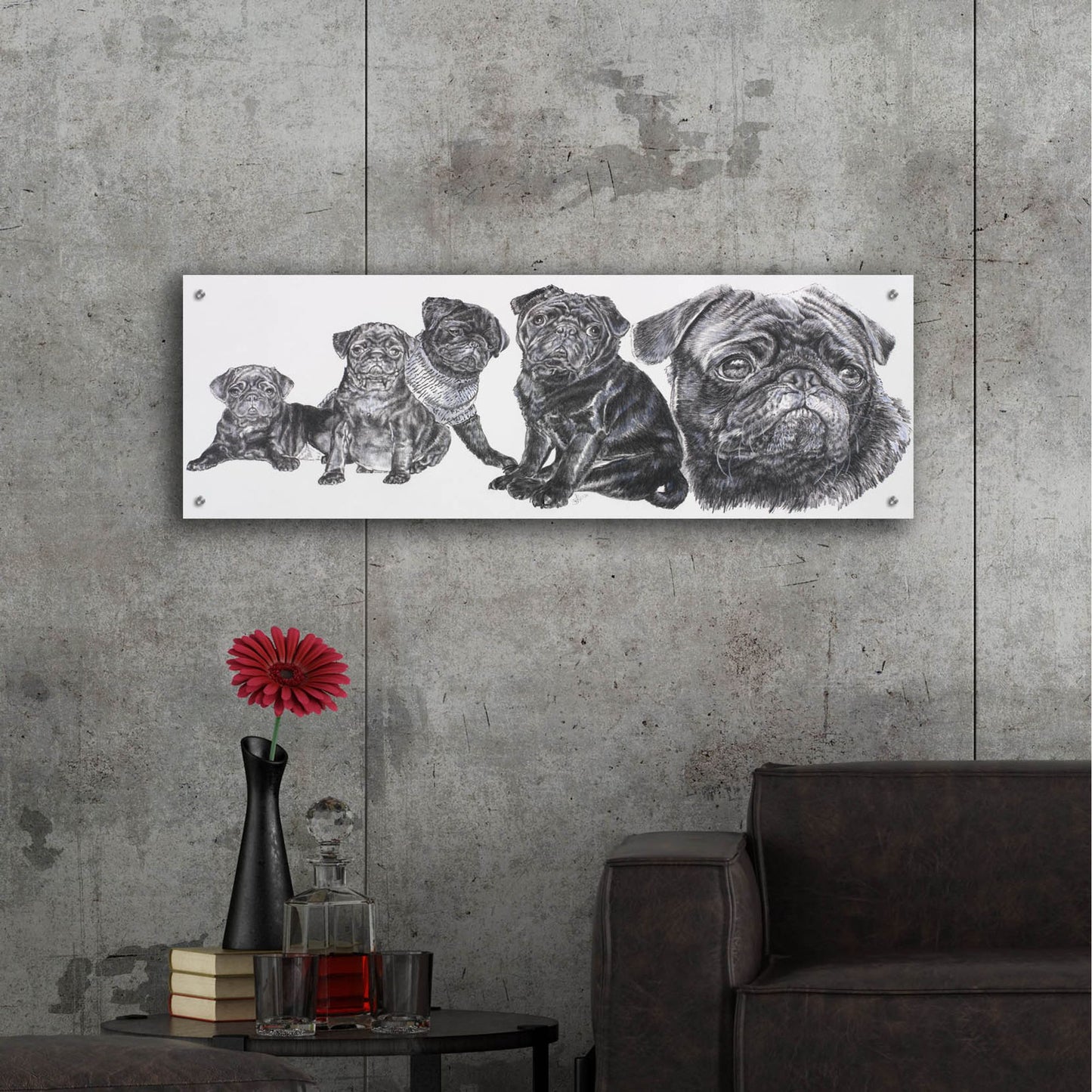 Epic Art 'Growing Up Pug' by Barbara Keith, Acrylic Glass Wall Art,48x16