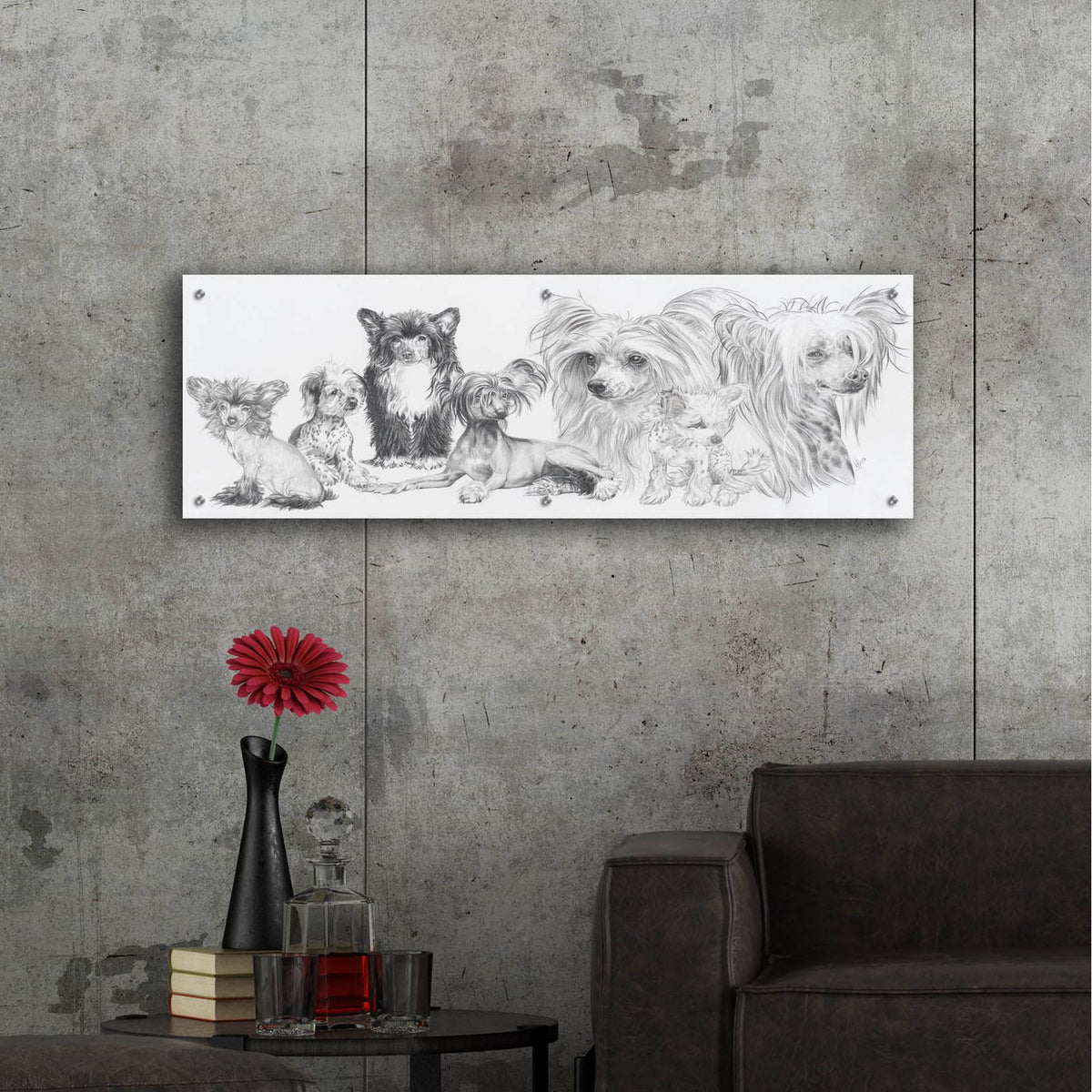 Chinese Cresteds by Barbara Keith - 48x16 acrylic wall art in a room