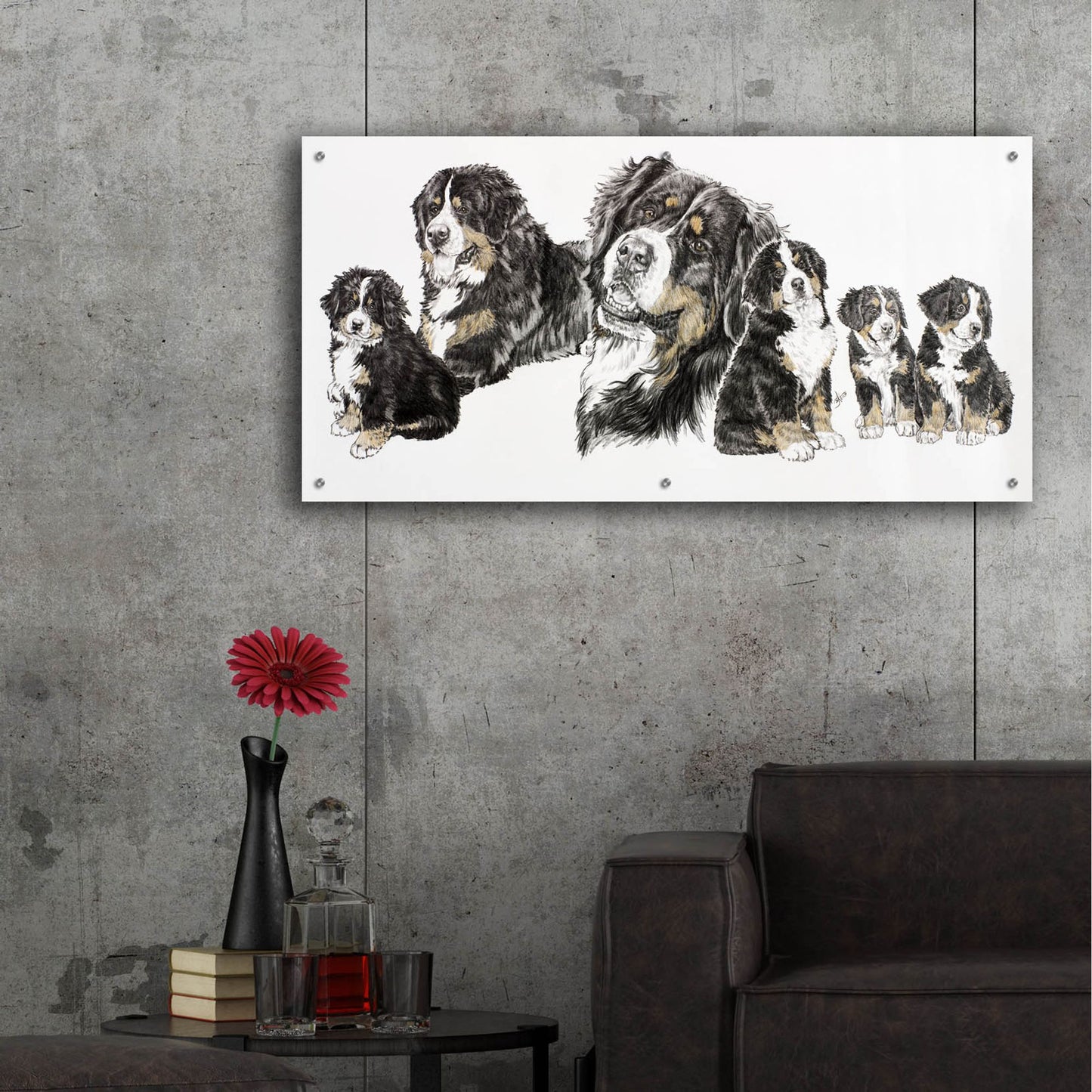 Epic Art 'Bernese Mountain Dog' by Barbara Keith, Acrylic Glass Wall Art,48x24