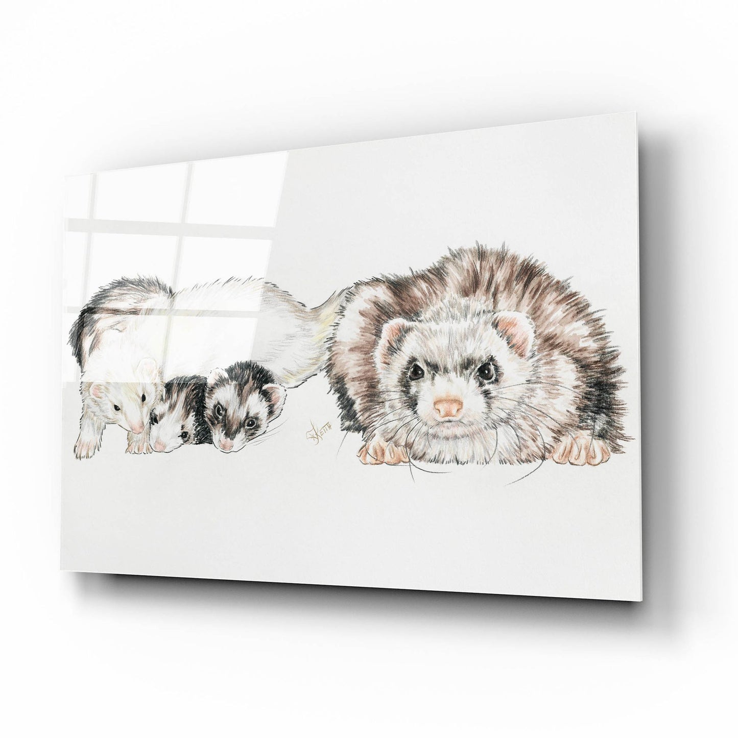 Epic Art 'Family Of Ferrets' by Barbara Keith, Acrylic Glass Wall Art,16x12