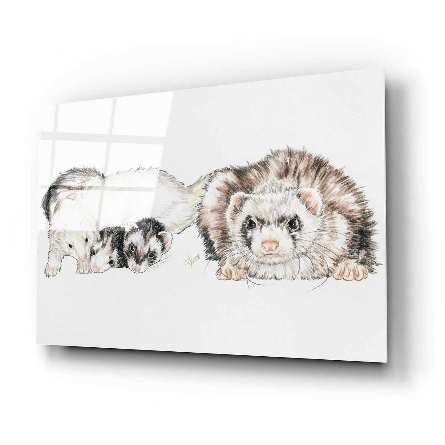 Epic Art 'Family Of Ferrets' by Barbara Keith, Acrylic Glass Wall Art,24x16