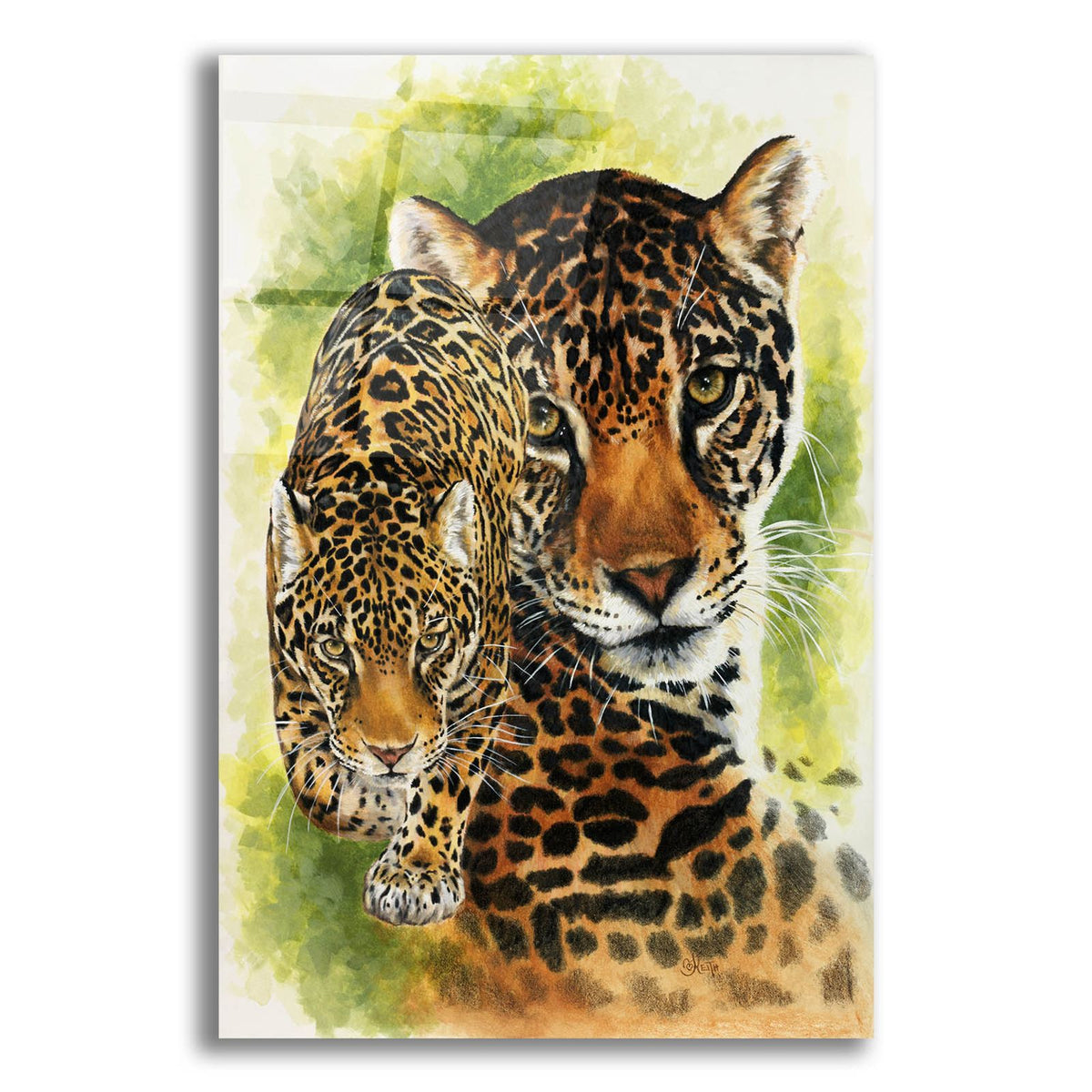 Compelling by Barbara Keith acrylic glass wall art
