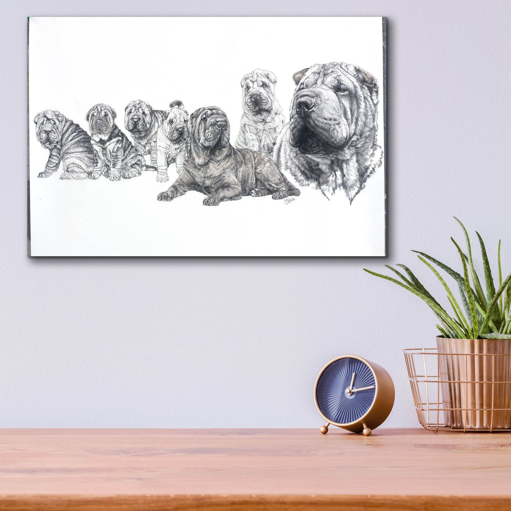 Epic Art 'Growing Up Shar Pei' by Barbara Keith, Acrylic Glass Wall Art,16x12