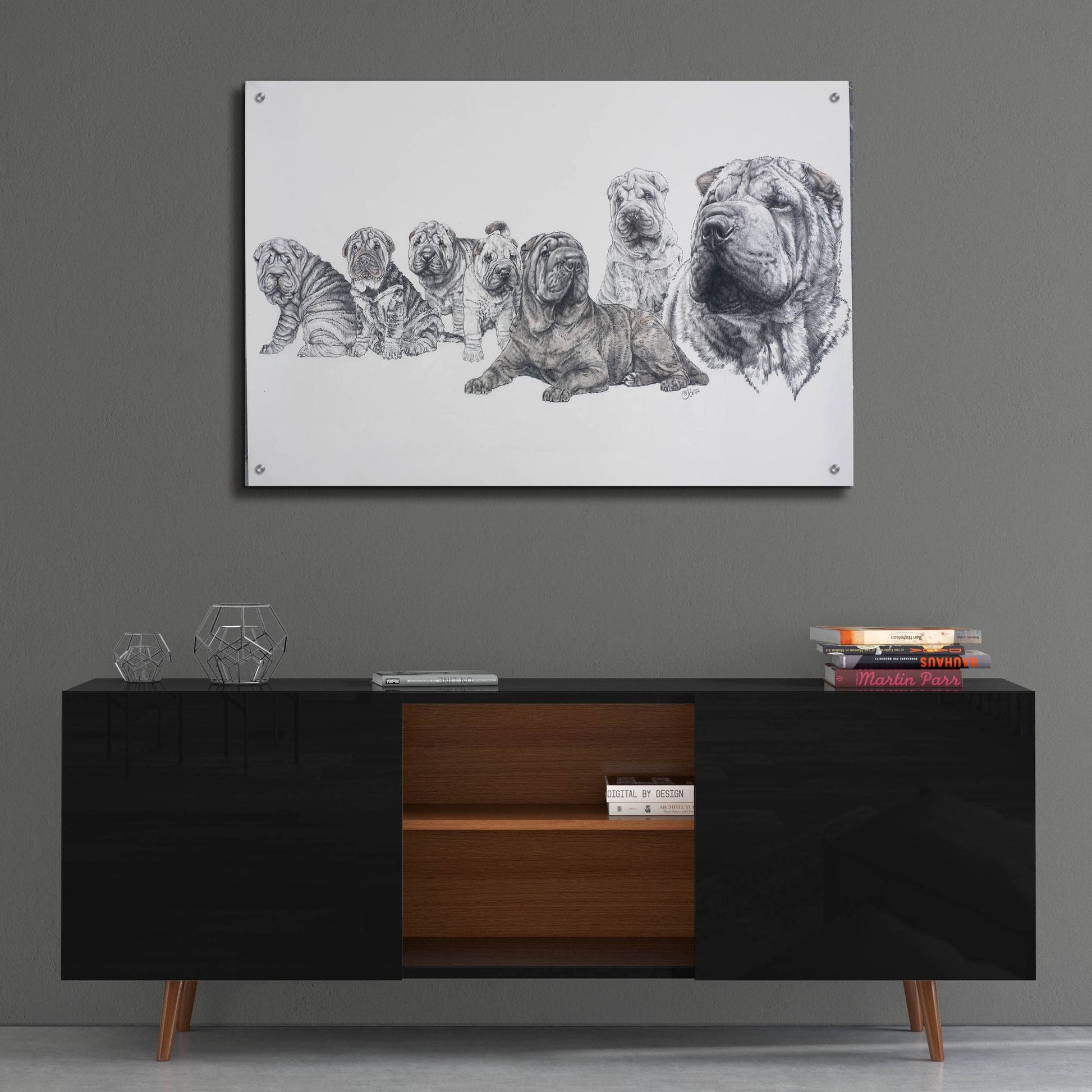 Epic Art 'Growing Up Shar Pei' by Barbara Keith, Acrylic Glass Wall Art,36x24