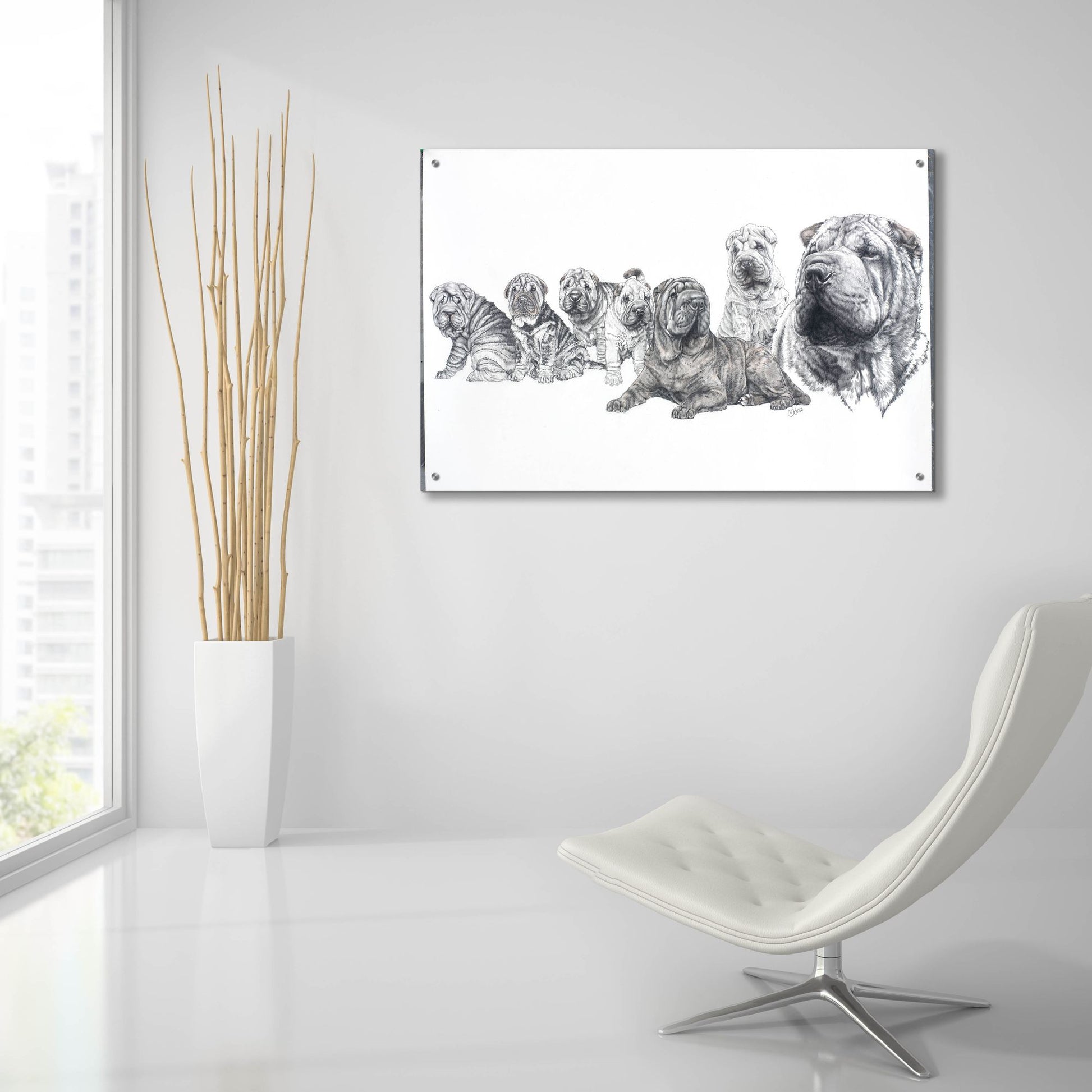 Epic Art 'Growing Up Shar Pei' by Barbara Keith, Acrylic Glass Wall Art,36x24