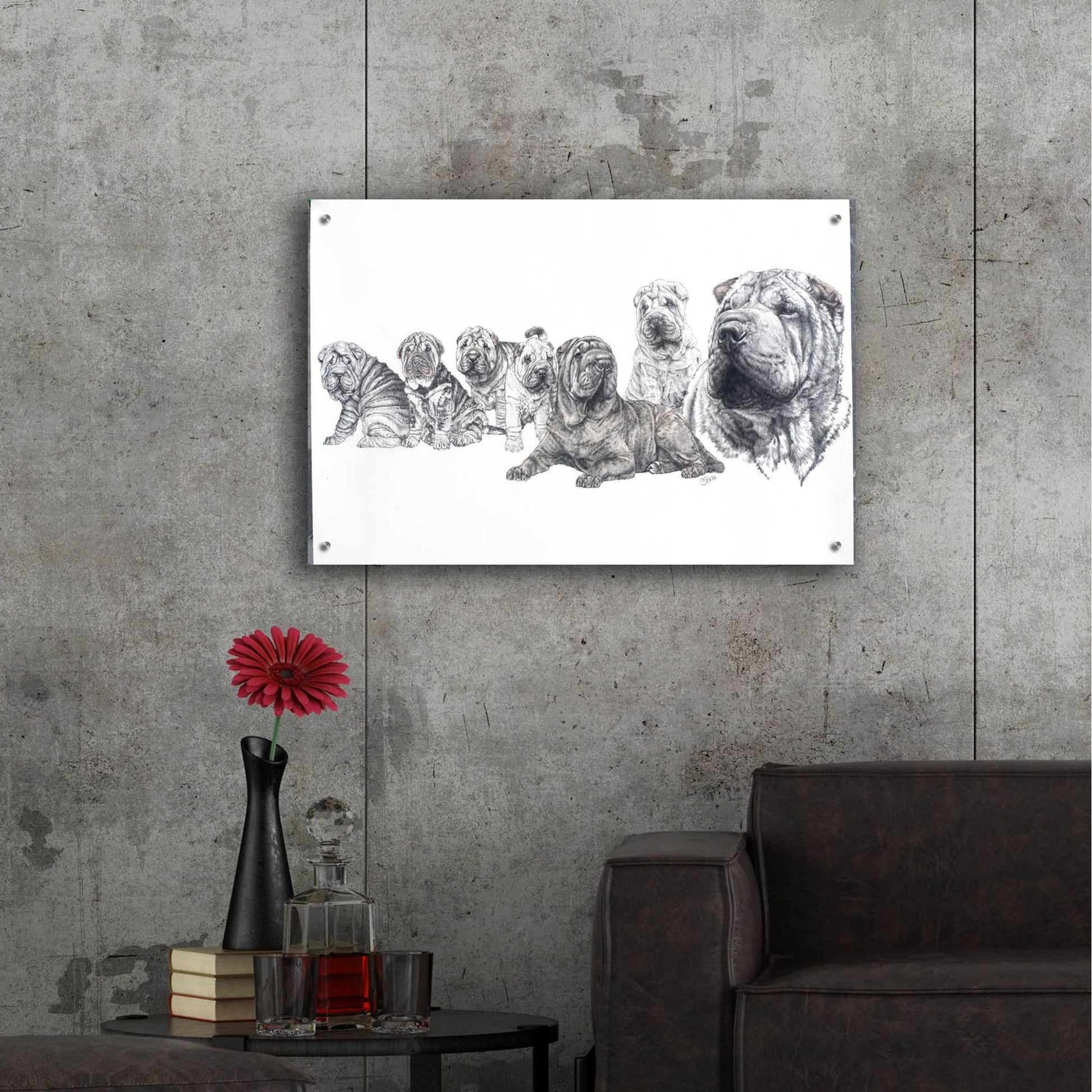 Epic Art 'Growing Up Shar Pei' by Barbara Keith, Acrylic Glass Wall Art,36x24