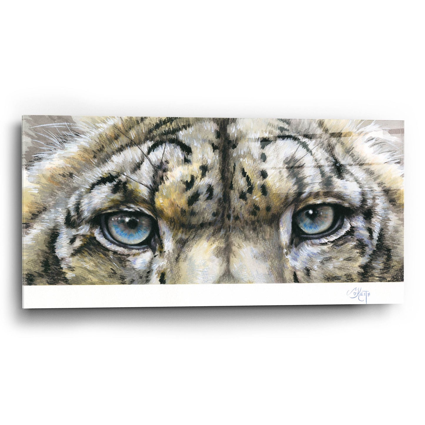 Epic Art 'Eye-Catching Snow Leopard' by Barbara Keith, Acrylic Glass Wall Art,24x12