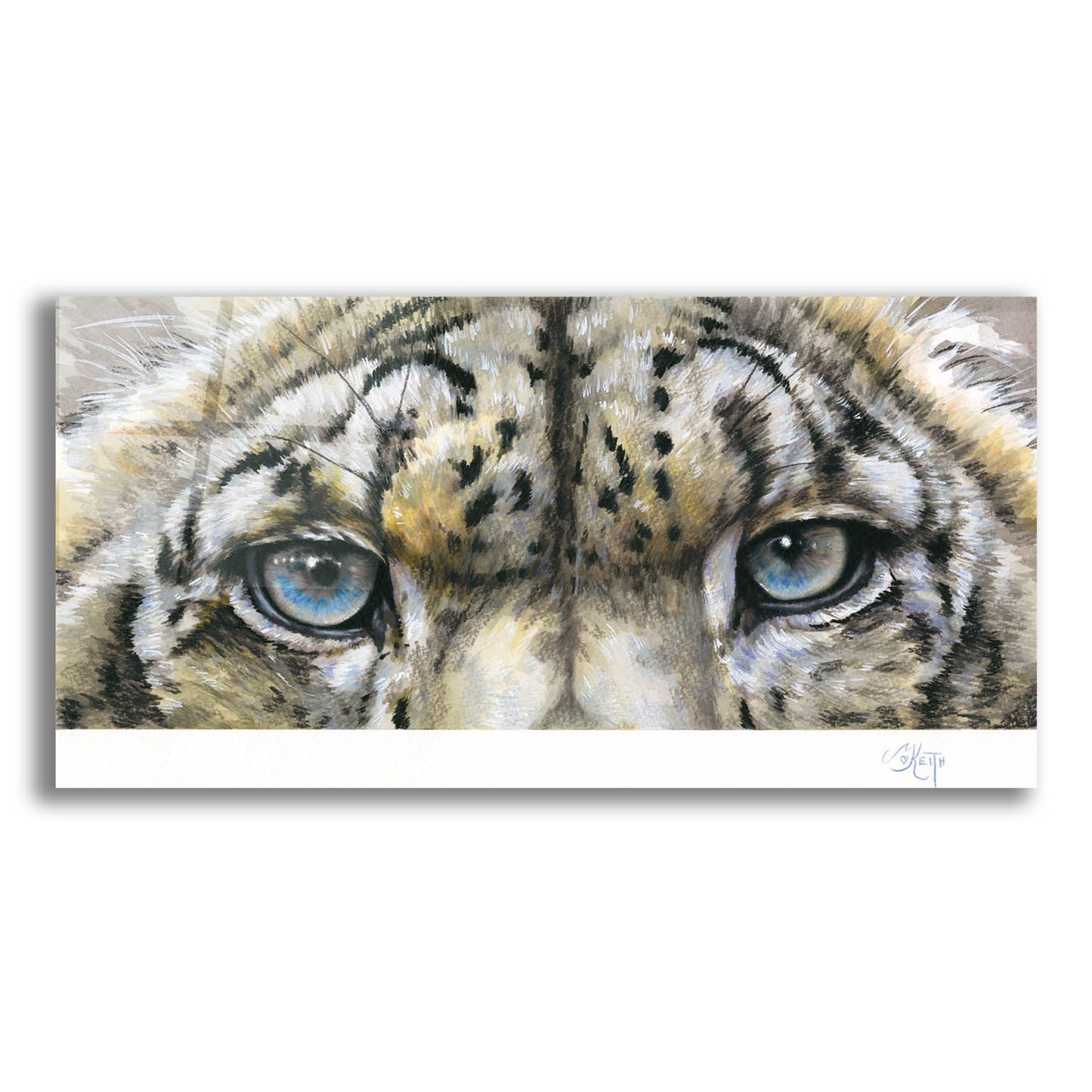 Epic Art 'Eye-Catching Snow Leopard' by Barbara Keith, Acrylic Glass Wall Art,24x12