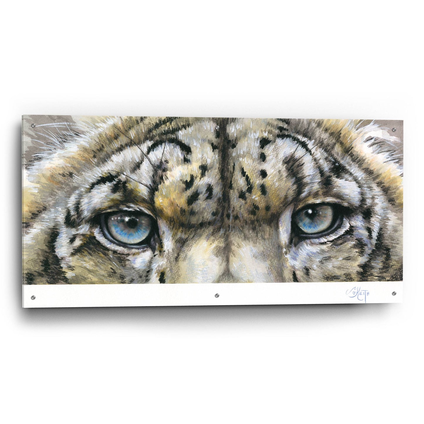 Epic Art 'Eye-Catching Snow Leopard' by Barbara Keith, Acrylic Glass Wall Art,48x24