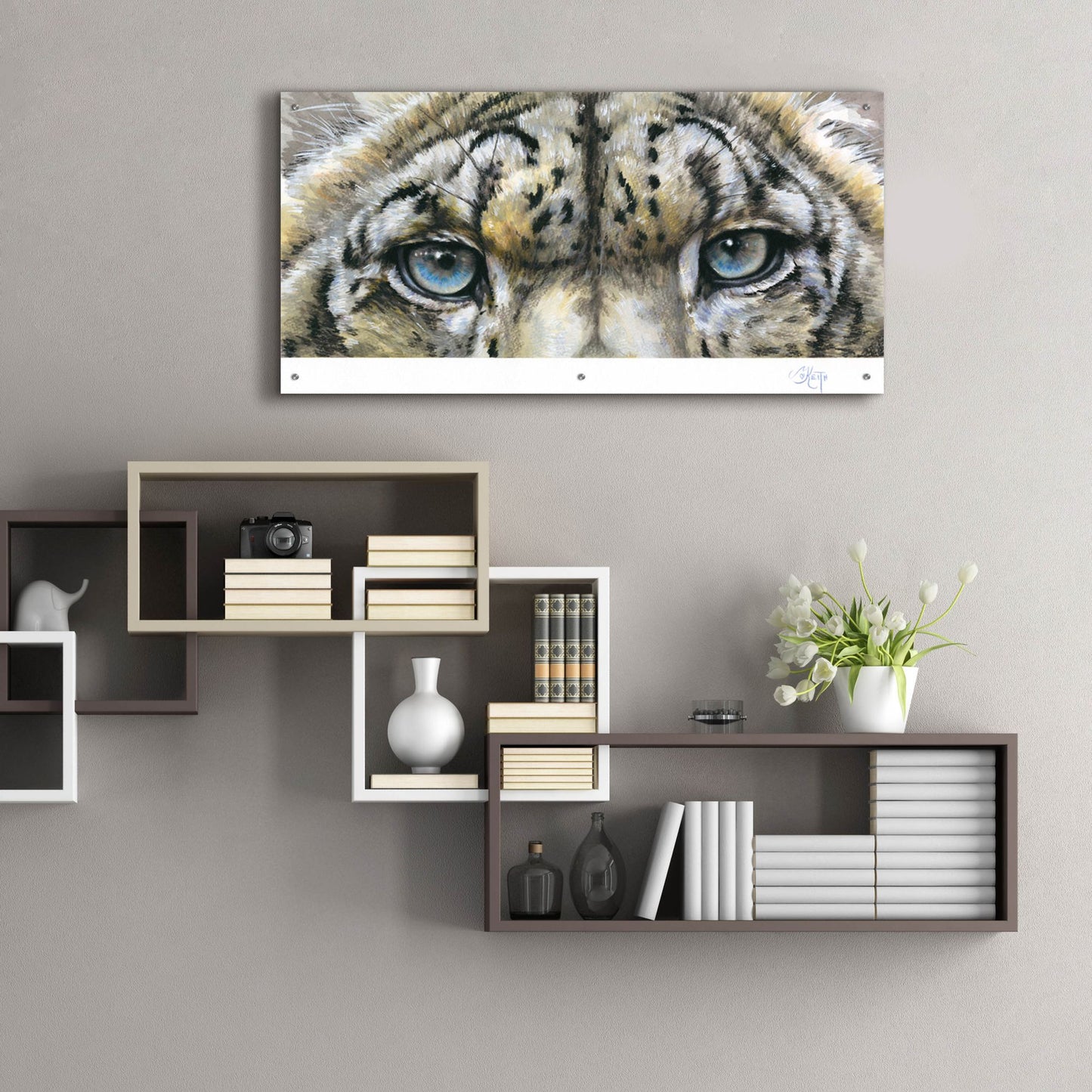 Epic Art 'Eye-Catching Snow Leopard' by Barbara Keith, Acrylic Glass Wall Art,48x24