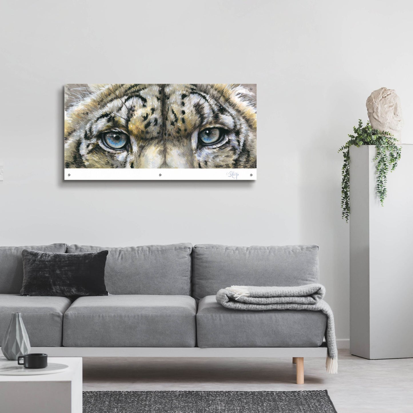 Epic Art 'Eye-Catching Snow Leopard' by Barbara Keith, Acrylic Glass Wall Art,48x24