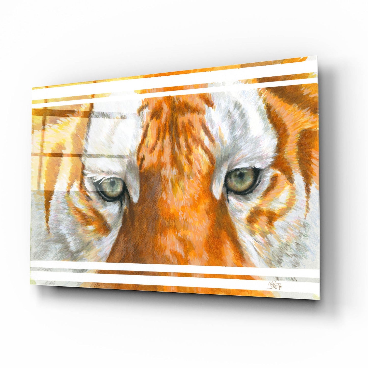 Epic Art 'Eye-Catching Golden Tabby Tiger' by Barbara Keith, Acrylic Glass Wall Art,16x12