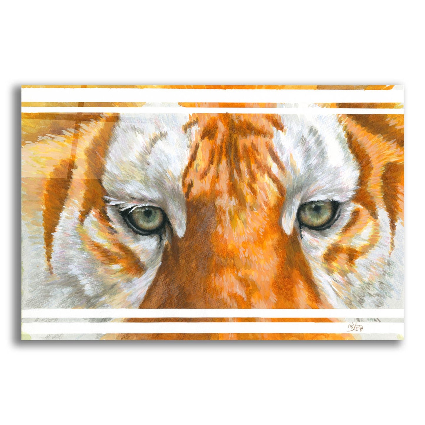 Epic Art 'Eye-Catching Golden Tabby Tiger' by Barbara Keith, Acrylic Glass Wall Art,16x12