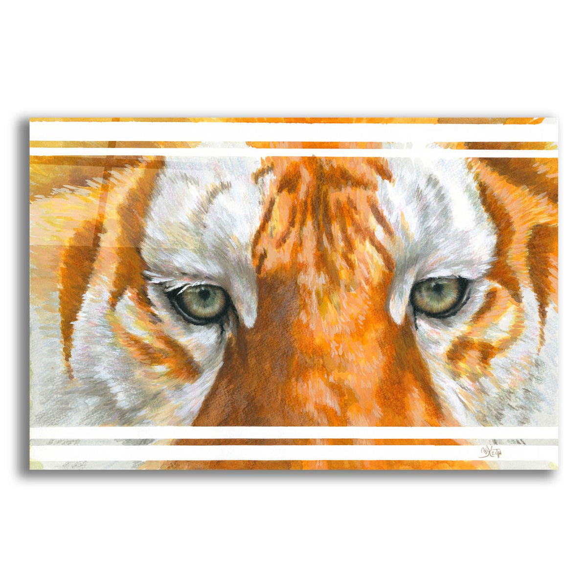 Eye-Catching Golden Tabby Tiger by Barbara Keith acrylic glass wall art