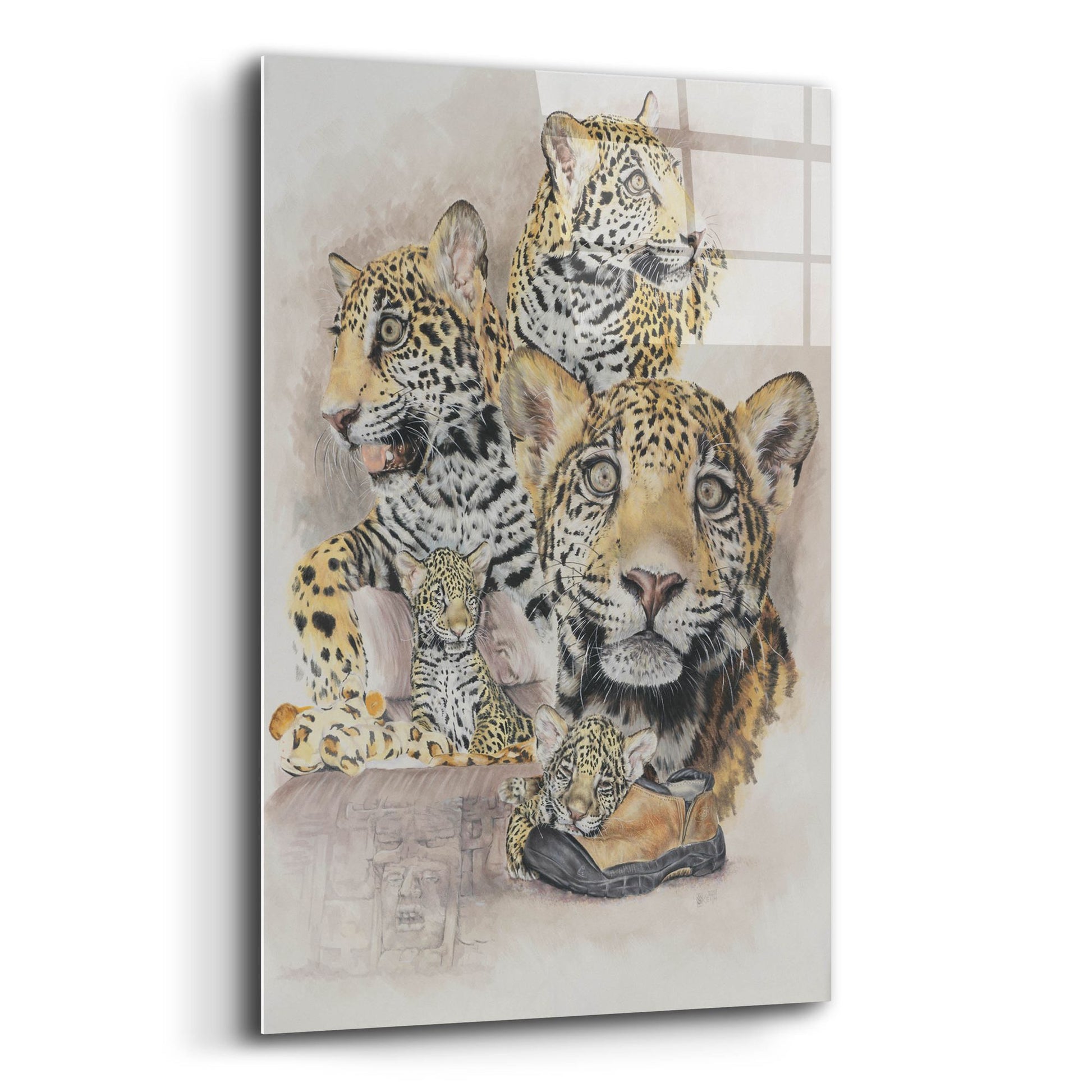 Epic Art 'Jaguars' by Barbara Keith, Acrylic Glass Wall Art,12x16