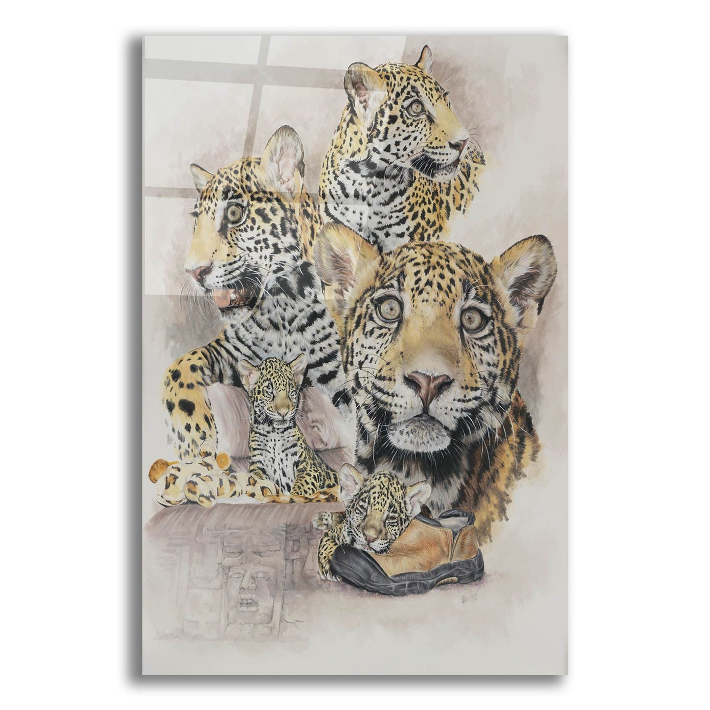 Epic Art 'Jaguars' by Barbara Keith, Acrylic Glass Wall Art,12x16