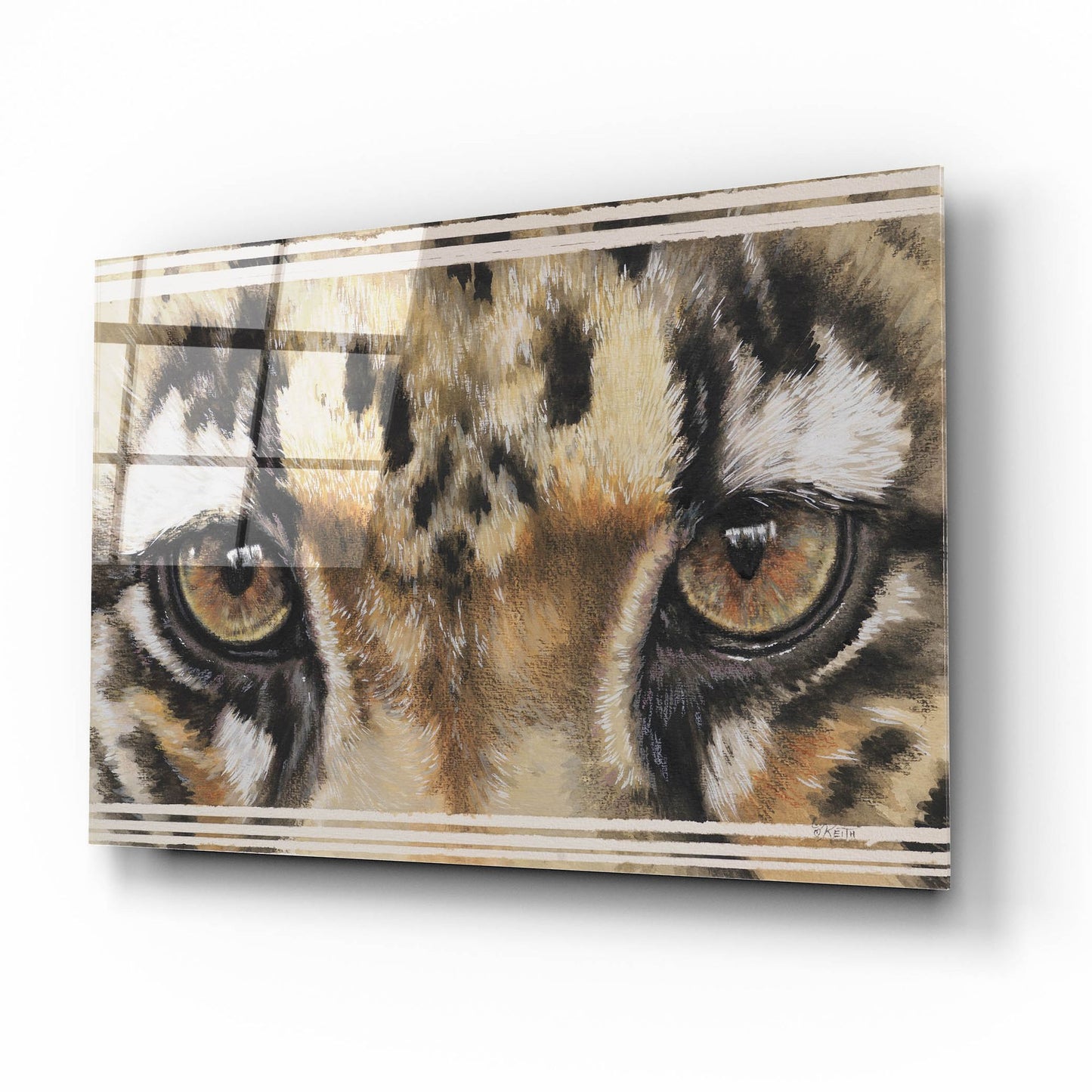 Epic Art 'Eye-Catching Clouded Leopard' by Barbara Keith, Acrylic Glass Wall Art,16x12