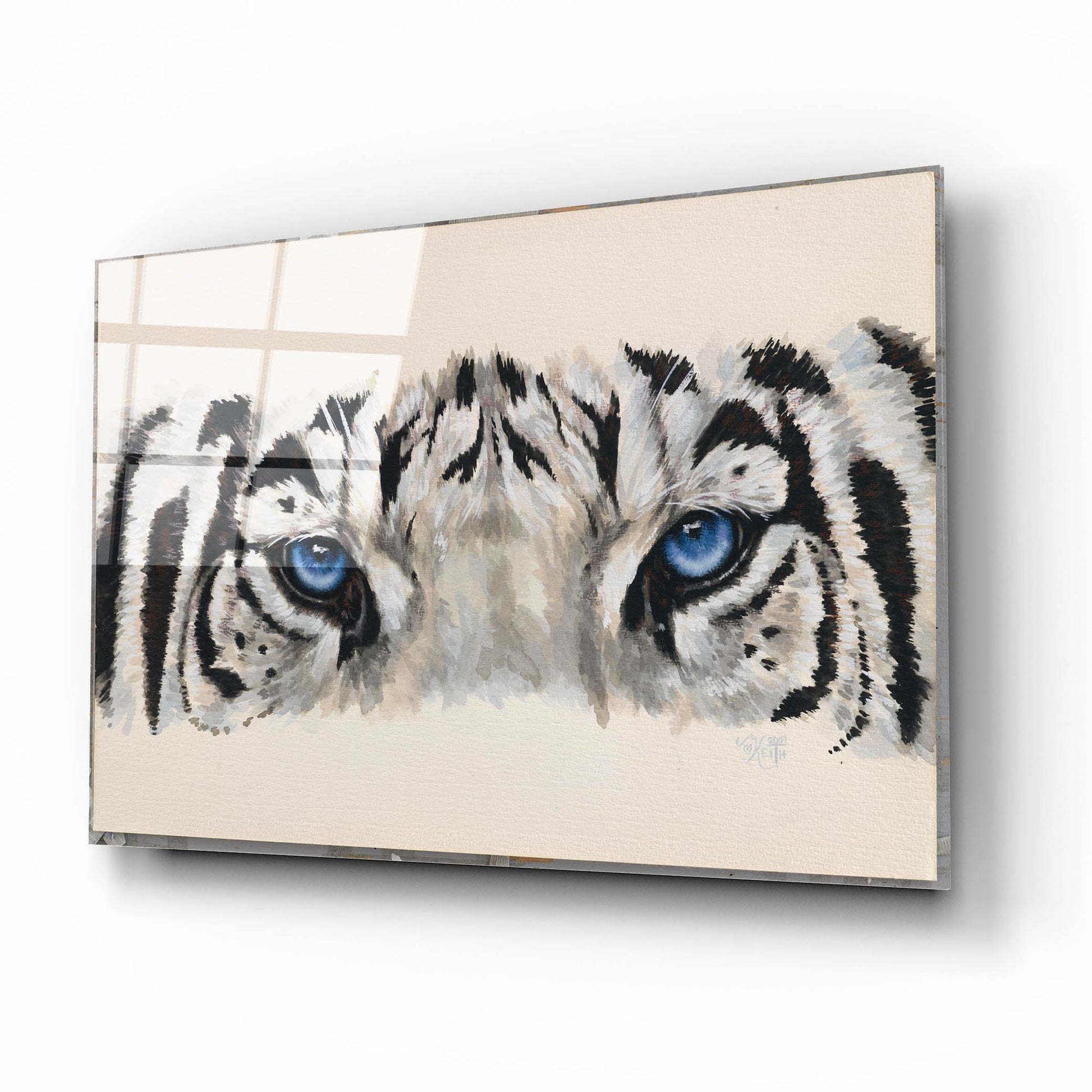 Epic Art 'Eye-Catching White Tiger' by Barbara Keith, Acrylic Glass Wall Art,16x12