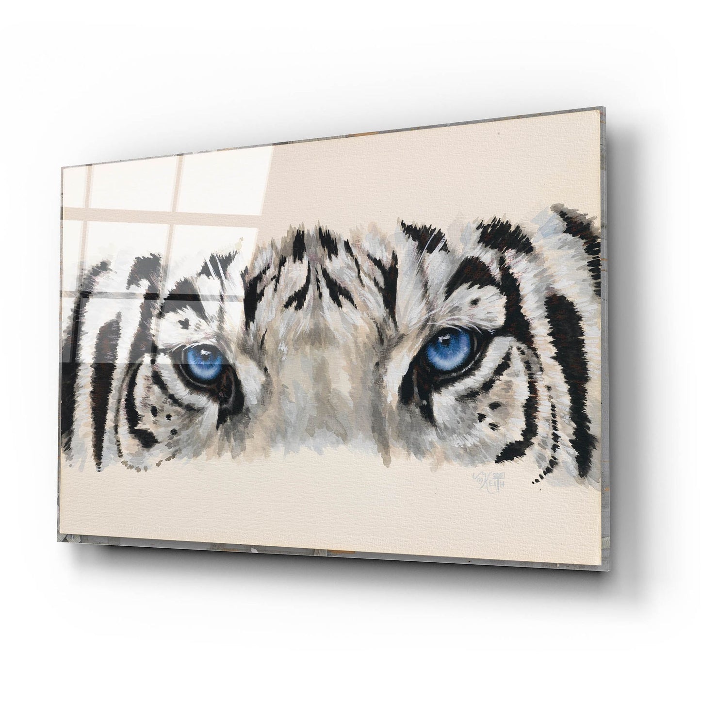 Epic Art 'Eye-Catching White Tiger' by Barbara Keith, Acrylic Glass Wall Art,24x16