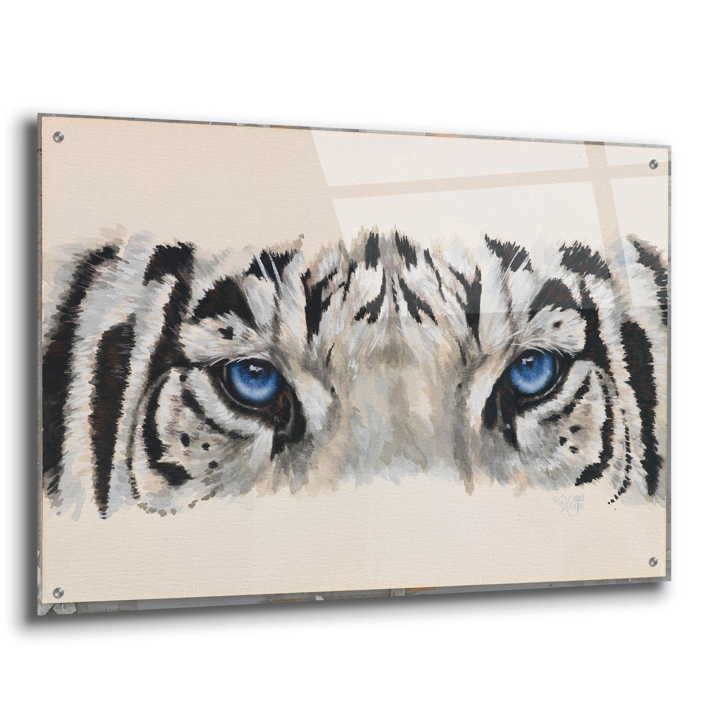 Epic Art 'Eye-Catching White Tiger' by Barbara Keith, Acrylic Glass Wall Art,36x24