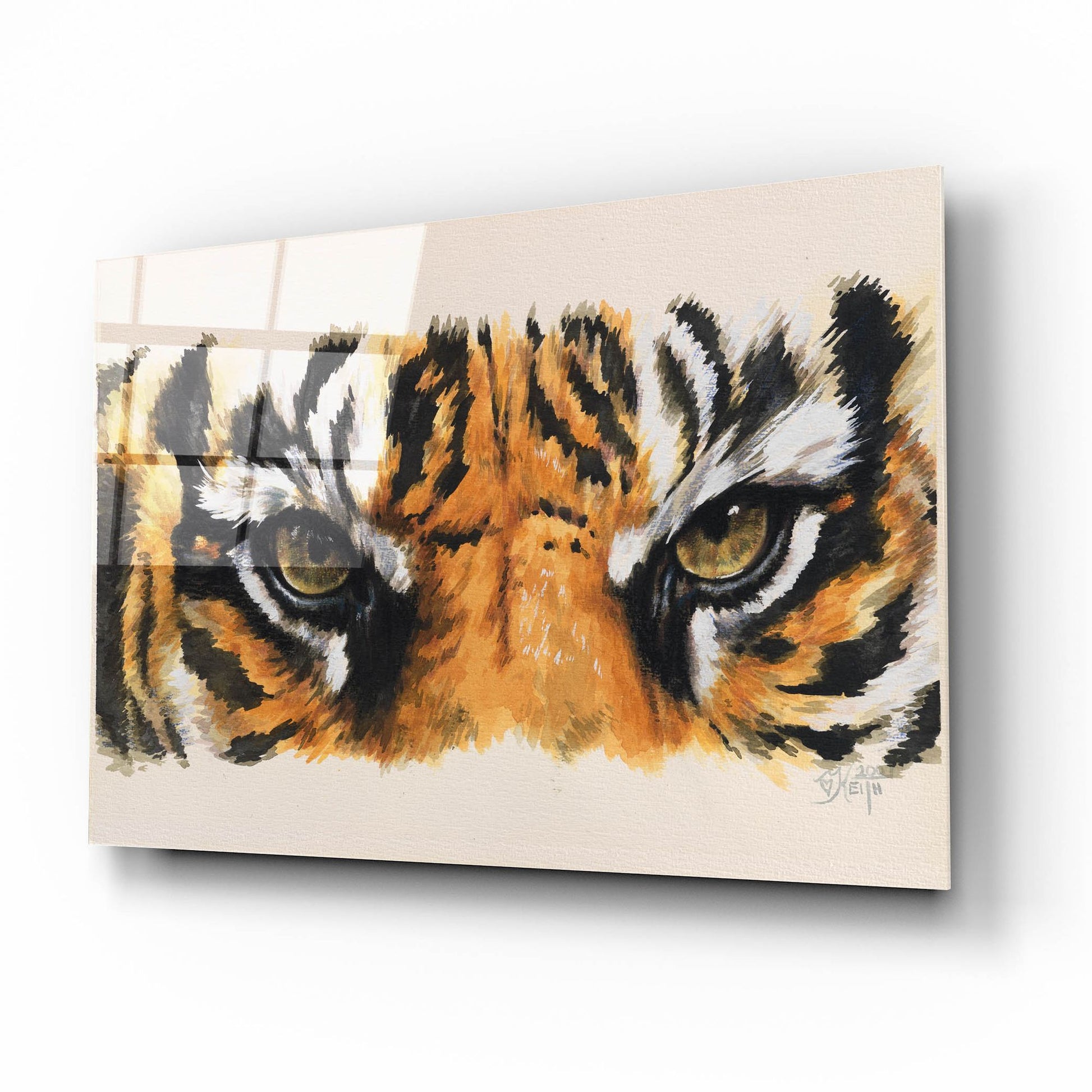 Epic Art 'Eye-Catching Tiger' by Barbara Keith, Acrylic Glass Wall Art,16x12