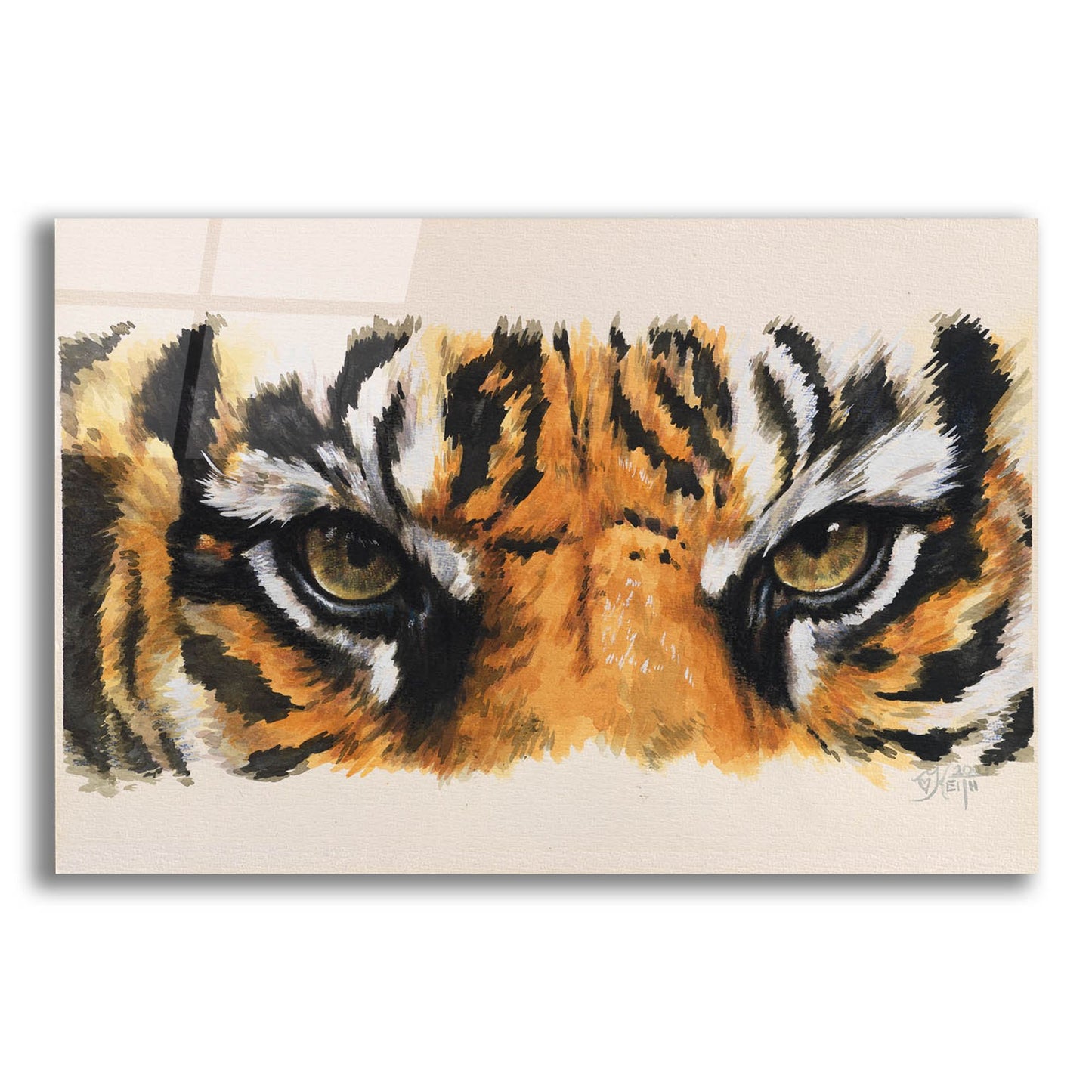 Epic Art 'Eye-Catching Tiger' by Barbara Keith, Acrylic Glass Wall Art,16x12