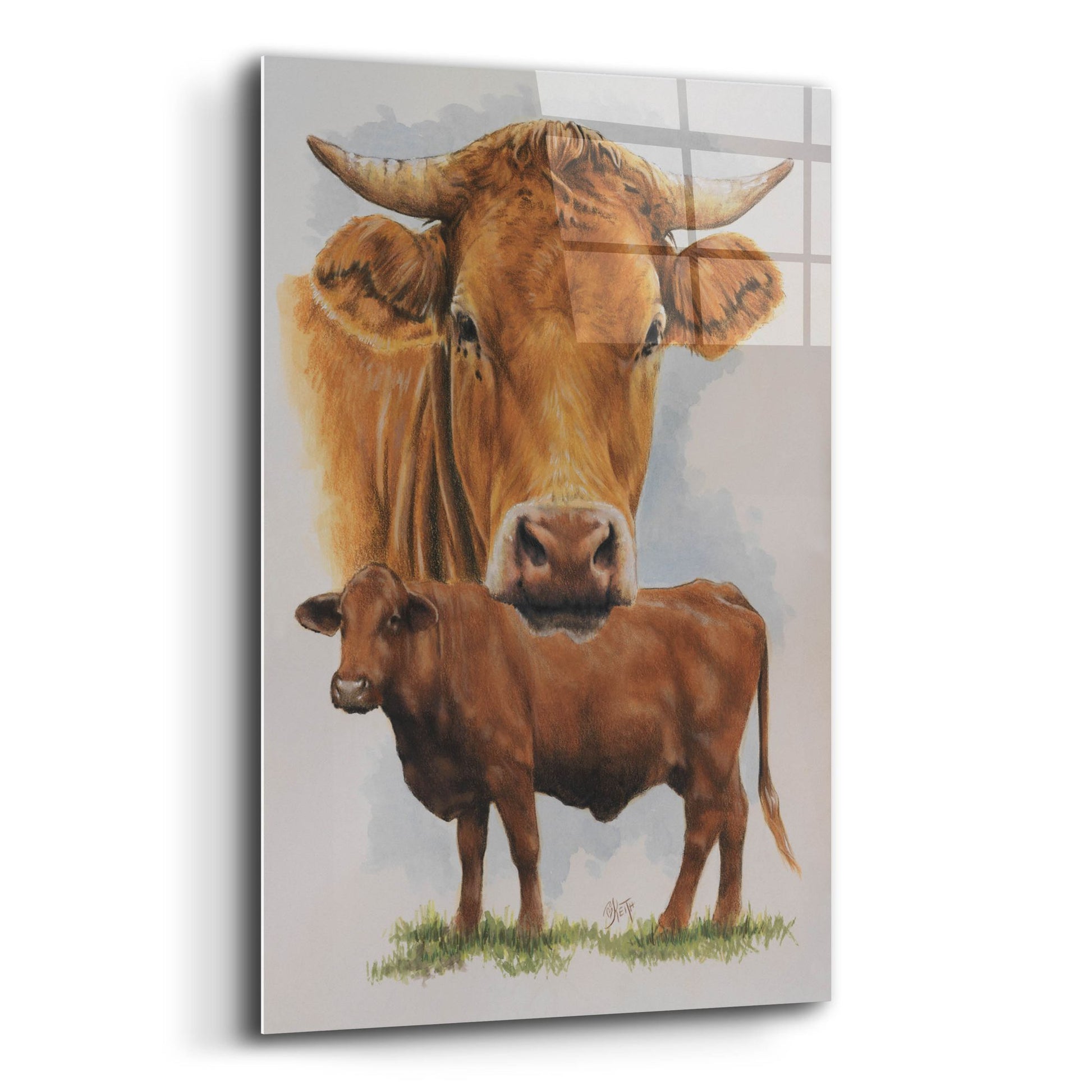 Epic Art 'Guernsey Cow' by Barbara Keith, Acrylic Glass Wall Art,12x16