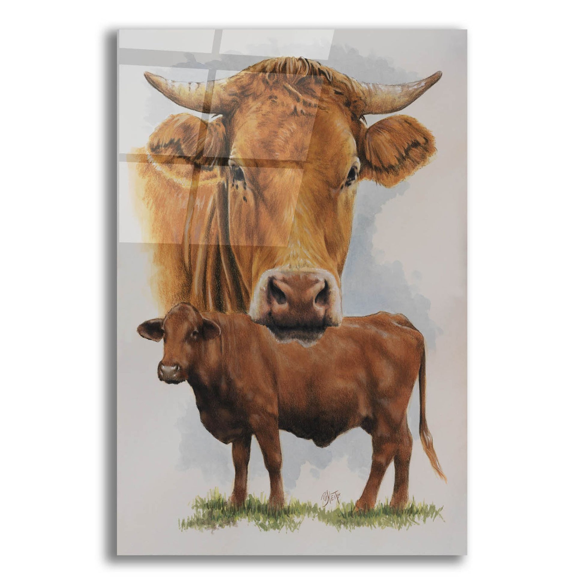 Epic Art 'Guernsey Cow' by Barbara Keith, Acrylic Glass Wall Art,12x16