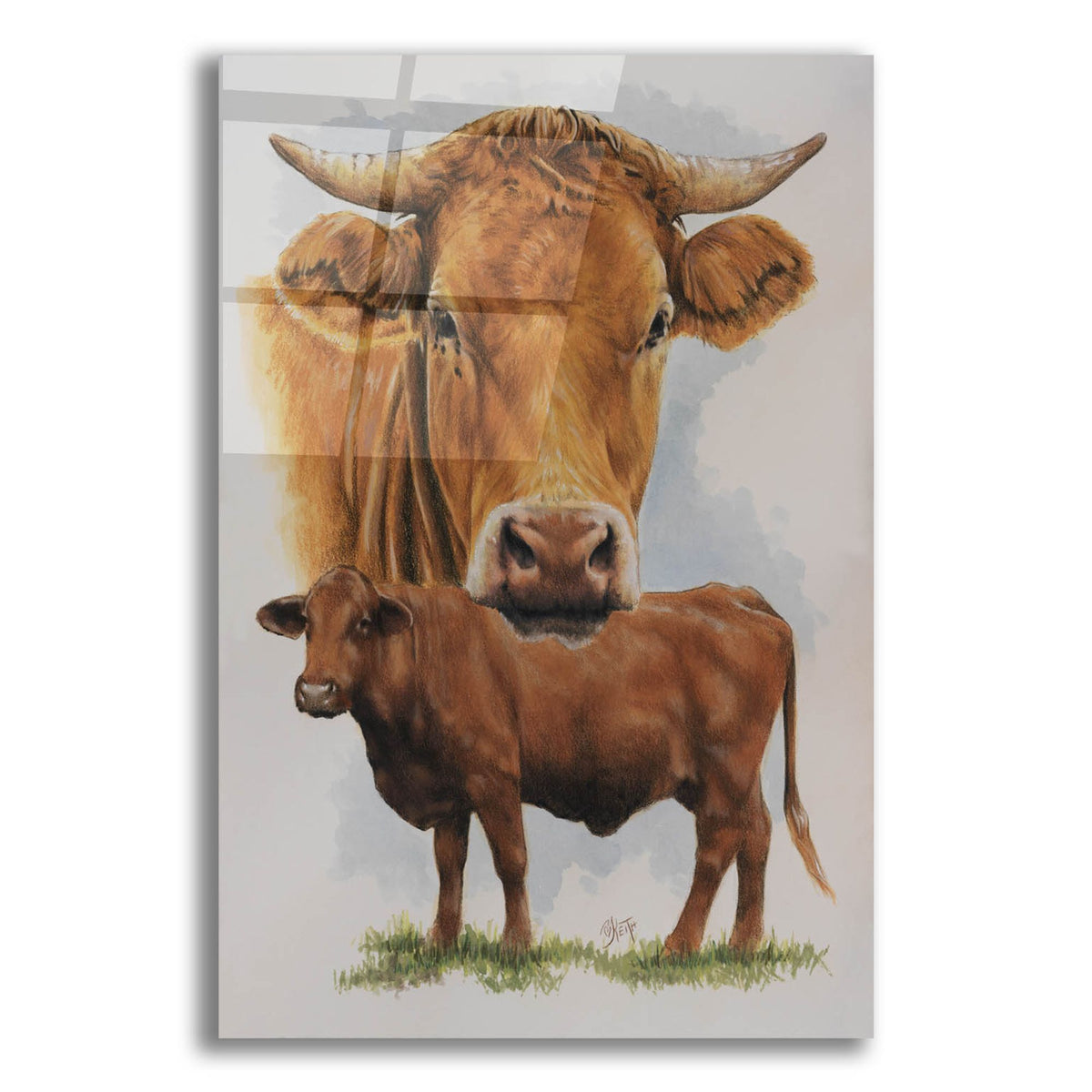 Epic Art 'Guernsey Cow' by Barbara Keith, Acrylic Glass Wall Art