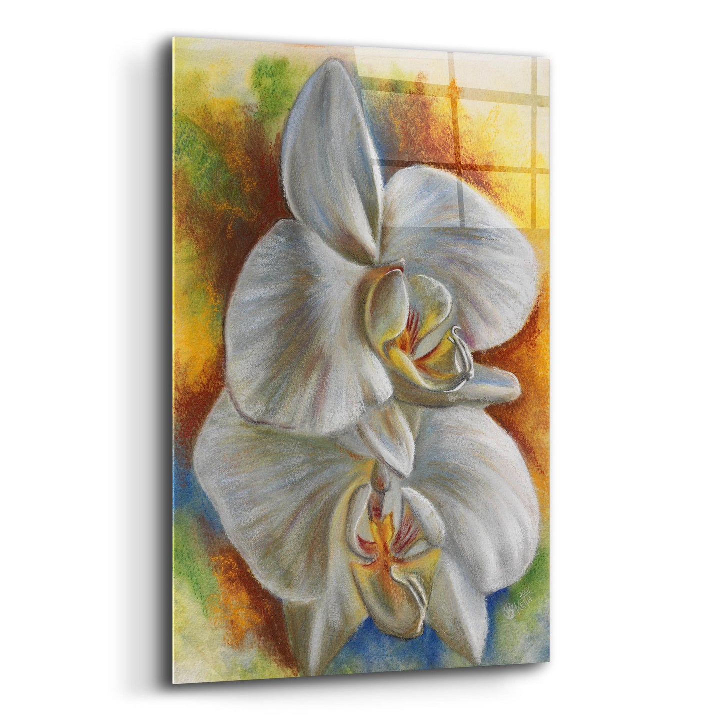 Epic Art 'Evening Orchid' by Barbara Keith, Acrylic Glass Wall Art,12x16