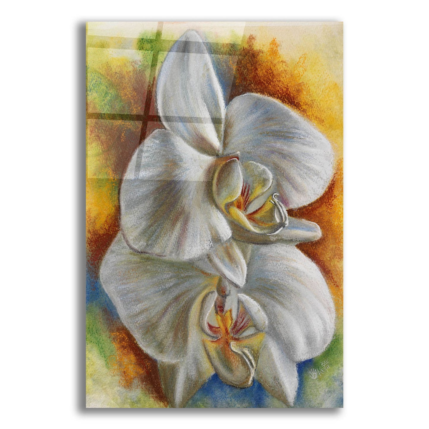 Epic Art 'Evening Orchid' by Barbara Keith, Acrylic Glass Wall Art,12x16