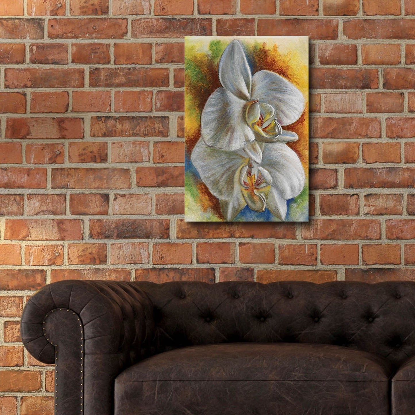 Epic Art 'Evening Orchid' by Barbara Keith, Acrylic Glass Wall Art,16x24