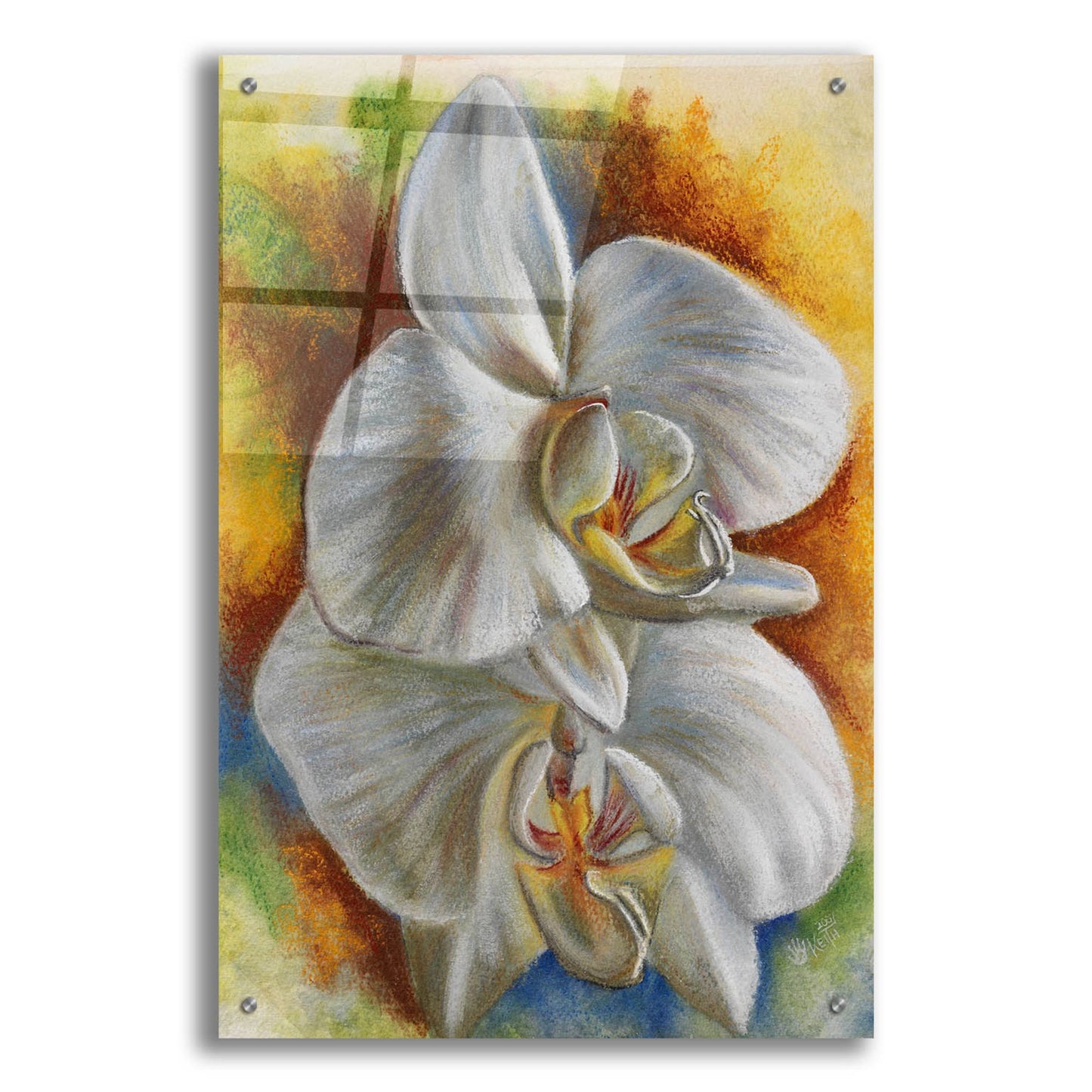 Epic Art 'Evening Orchid' by Barbara Keith, Acrylic Glass Wall Art,24x36