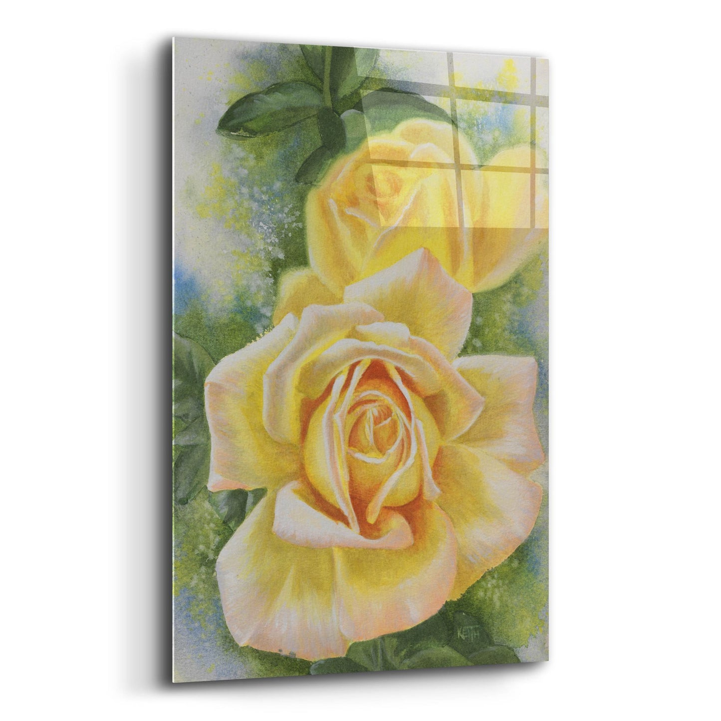 Epic Art 'Peace Rose' by Barbara Keith, Acrylic Glass Wall Art,12x16