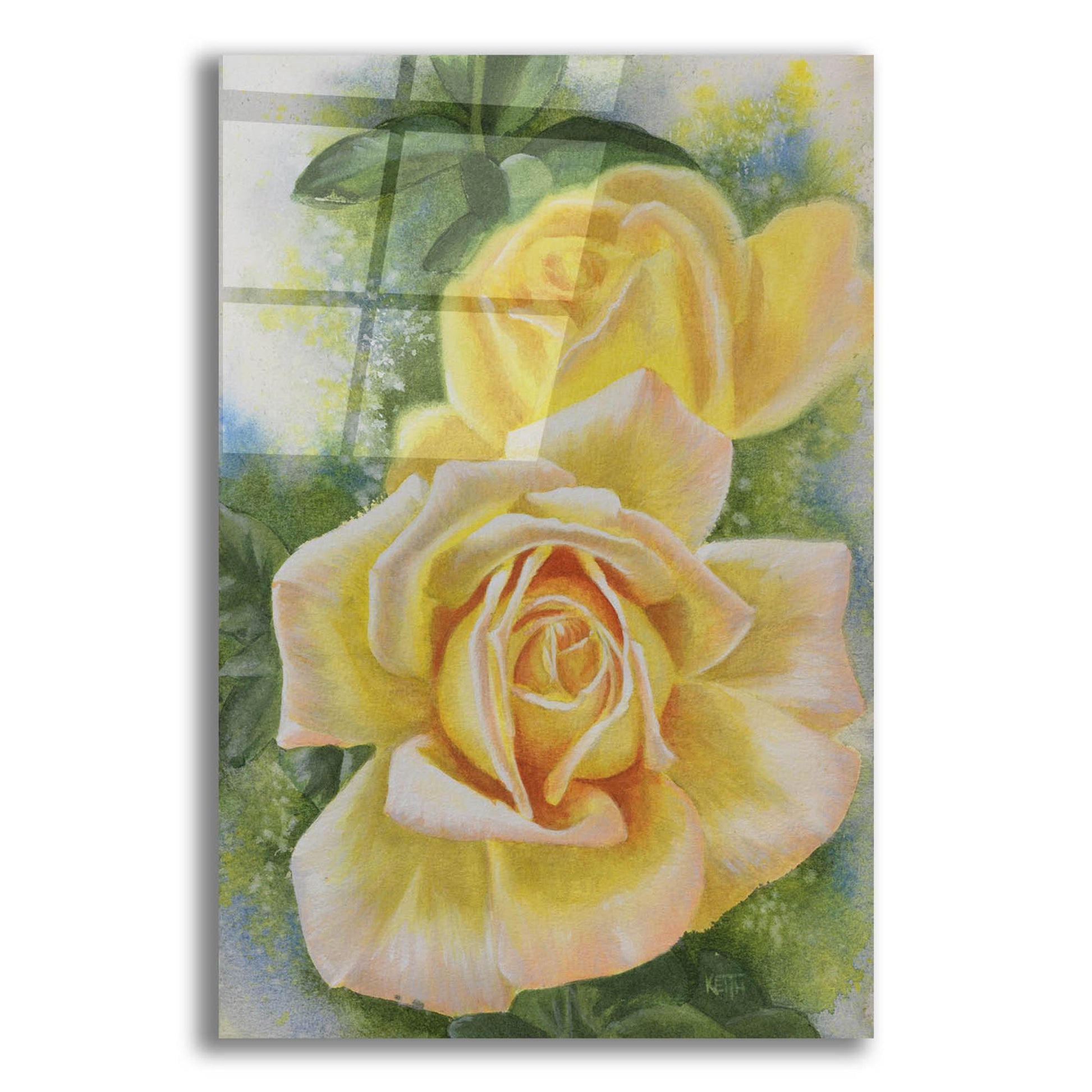 Epic Art 'Peace Rose' by Barbara Keith, Acrylic Glass Wall Art,12x16