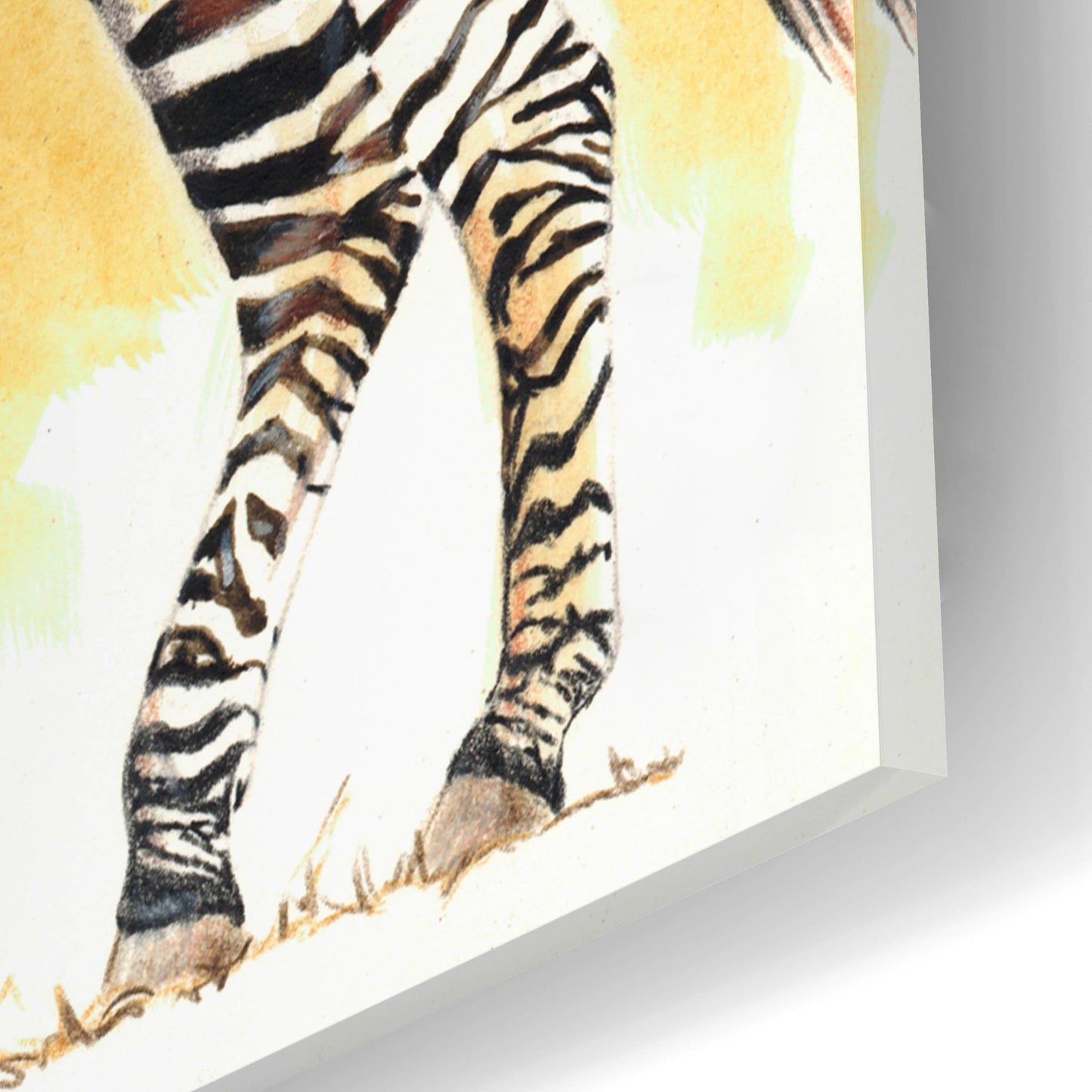 Epic Art 'Mountain Zebra' by Barbara Keith, Acrylic Glass Wall Art,12x16