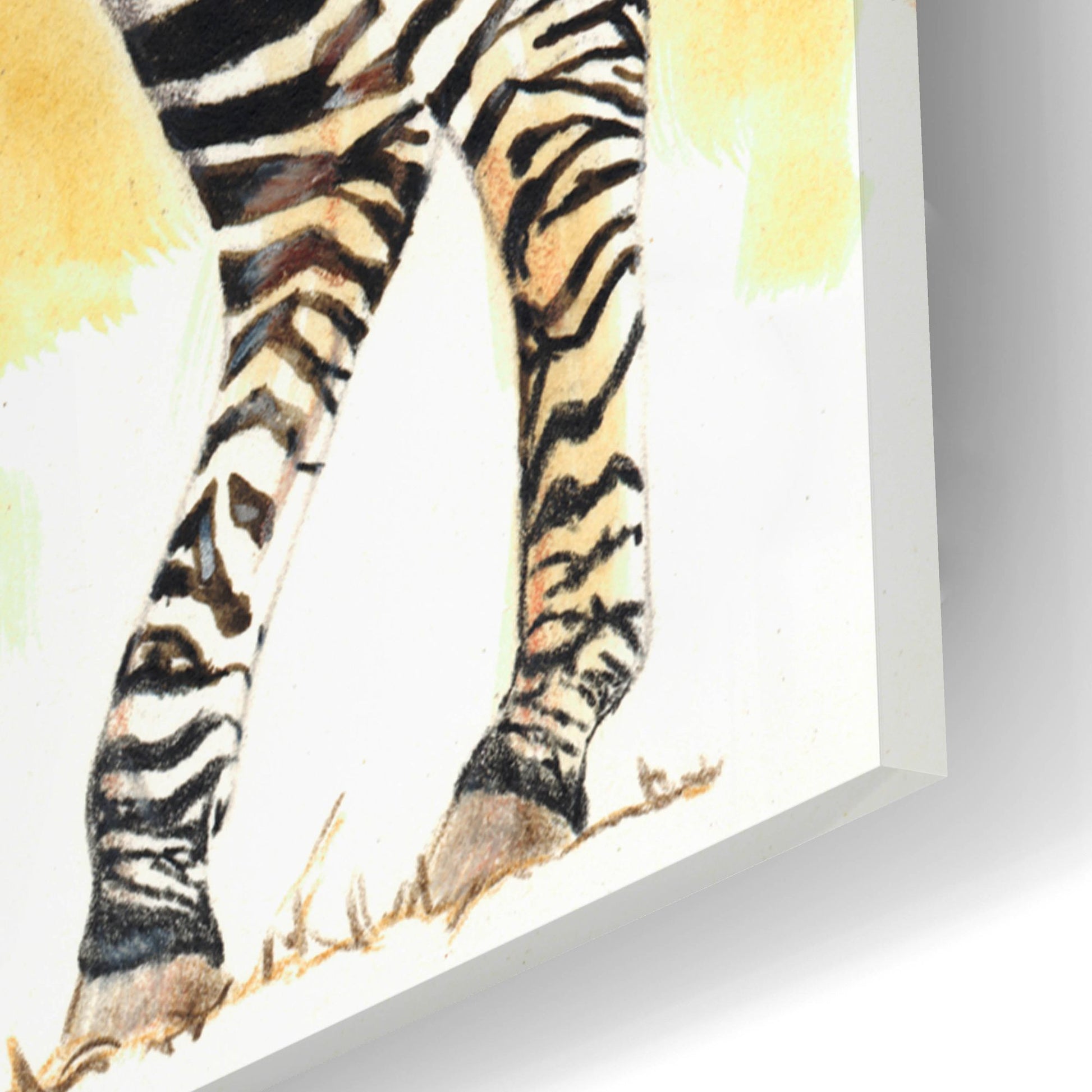 Epic Art 'Mountain Zebra' by Barbara Keith, Acrylic Glass Wall Art,16x24