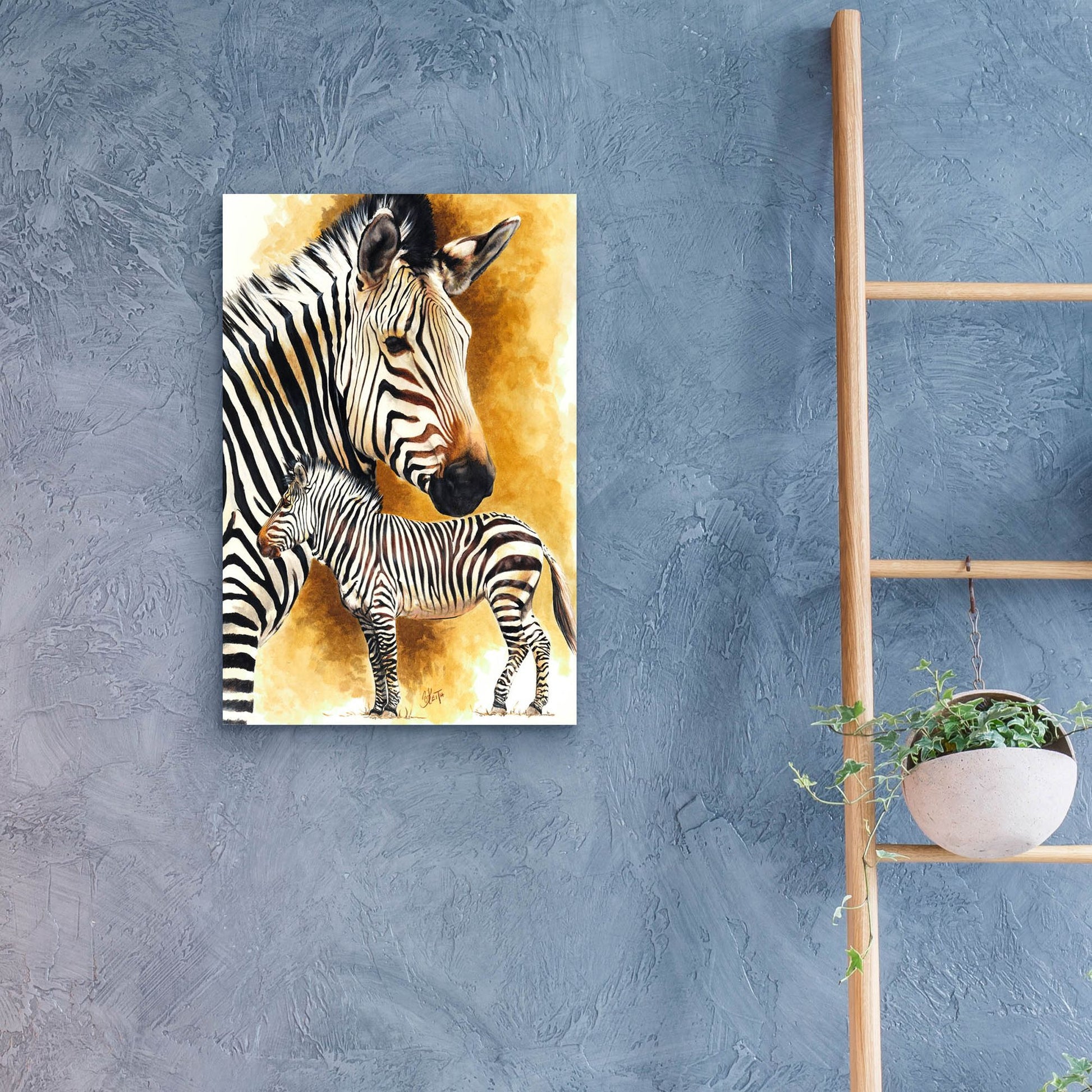 Epic Art 'Mountain Zebra' by Barbara Keith, Acrylic Glass Wall Art,16x24